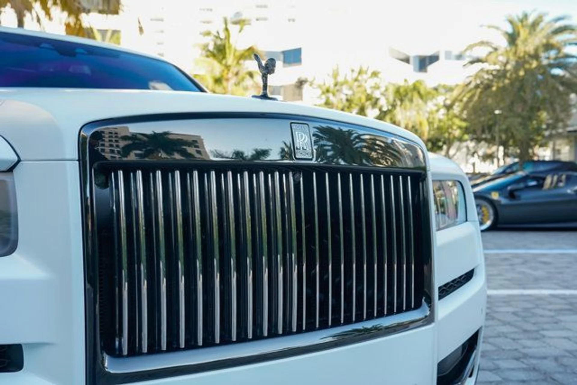 mph039_607372828_22981379_40_640_ae96af40fe