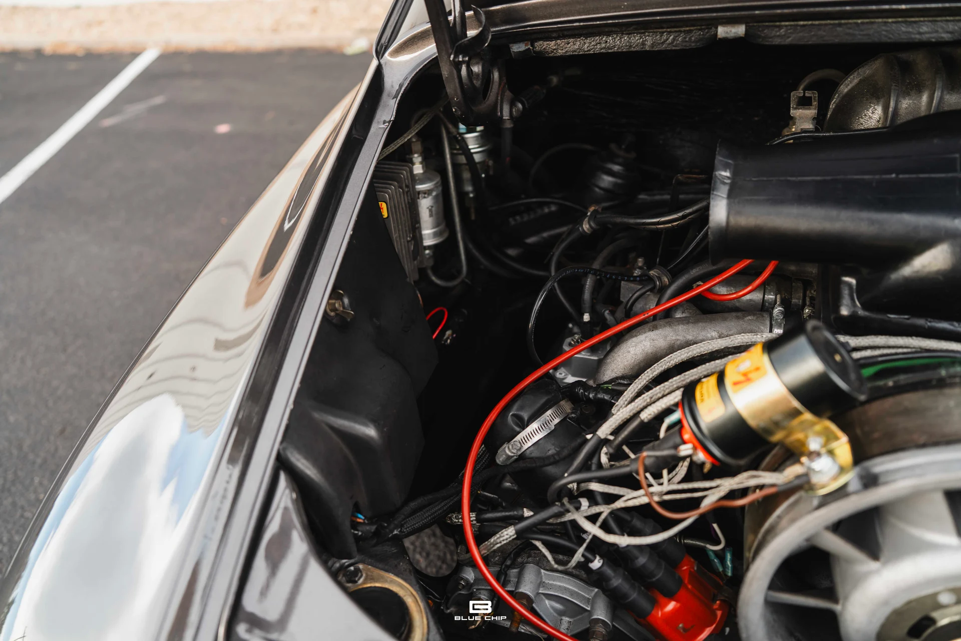 mph039_748332666_693c93ed0157cdea5cf064f0_DSC_05510_81642c393f