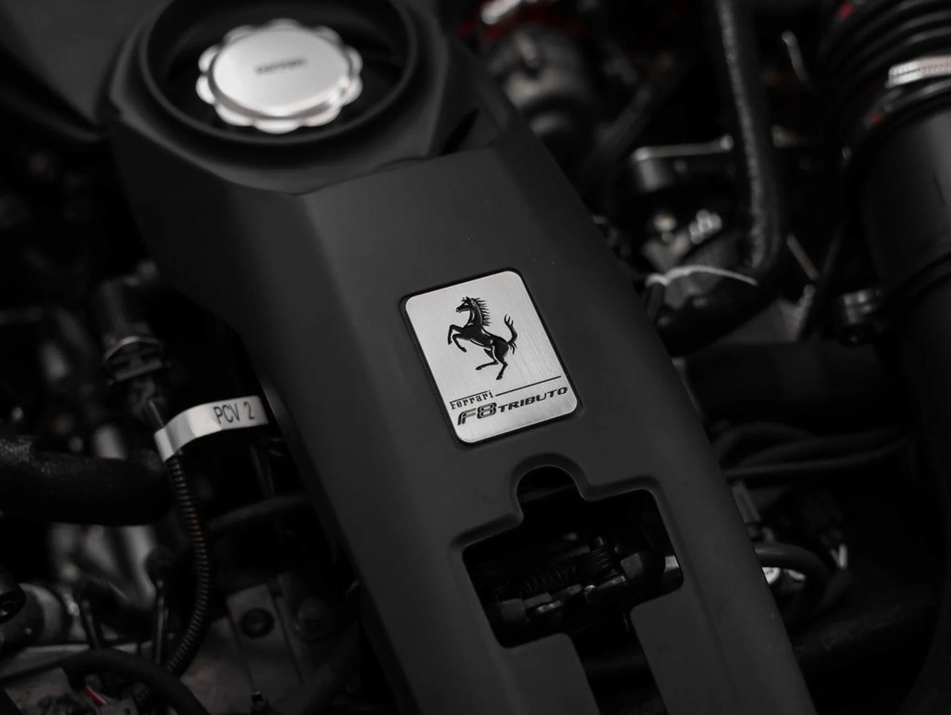 mph039_875560720_40_0f1bc3415b