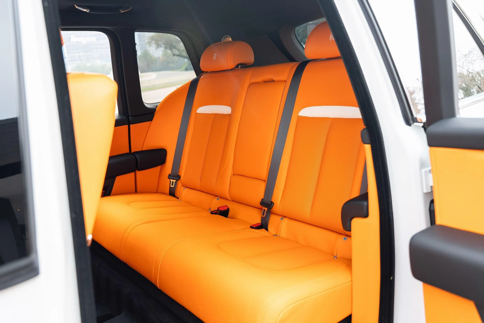 mph040_1184226381_477983144_695f55184b0ded1c3975a631_031b2e9df9