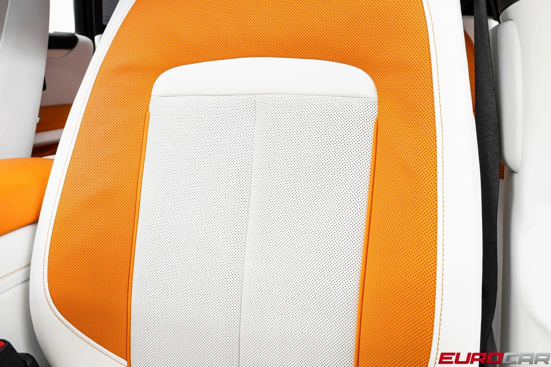 mph040_1186813107_image_41_21d12c6869