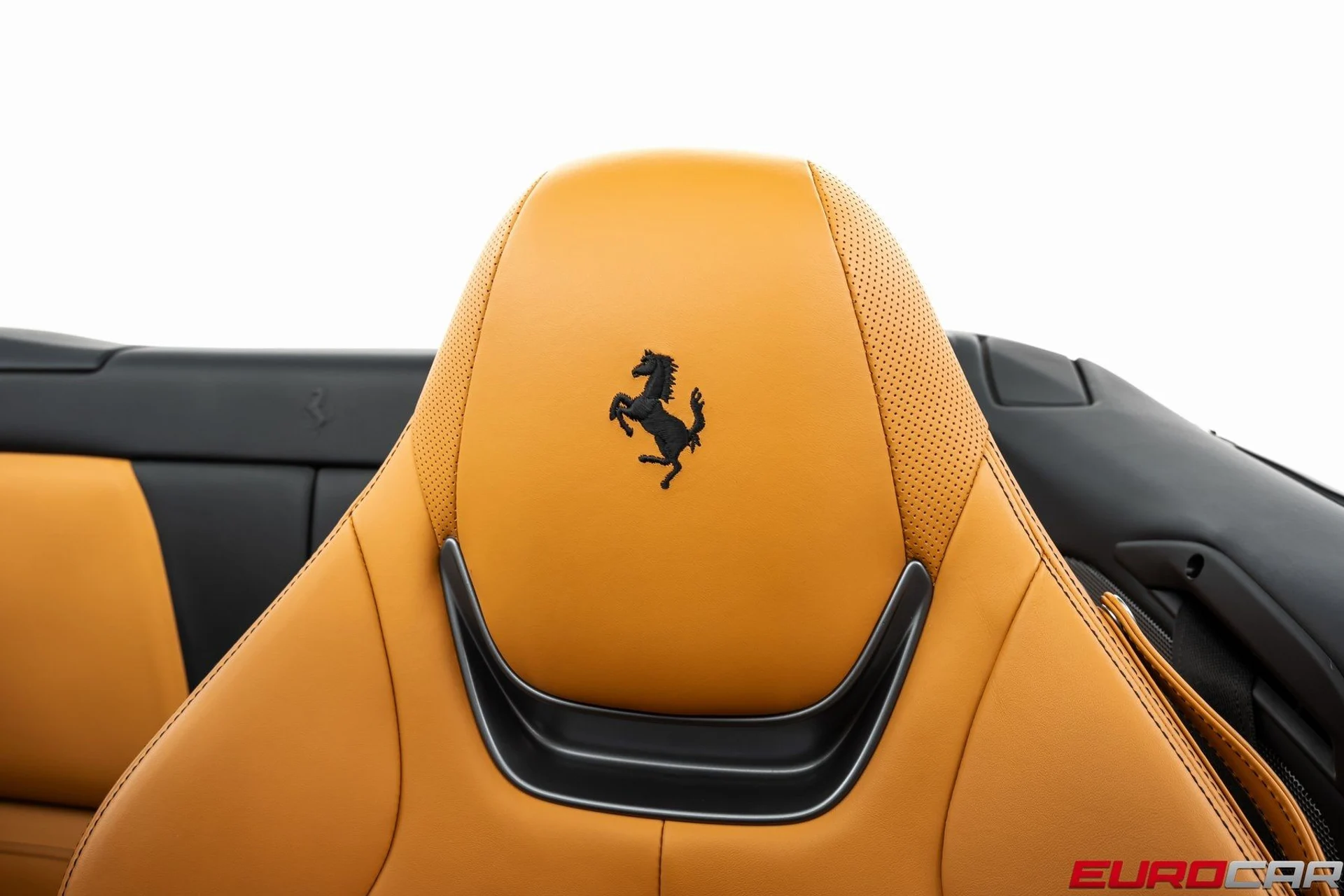 mph040_1325686091_image_41_79636837fb