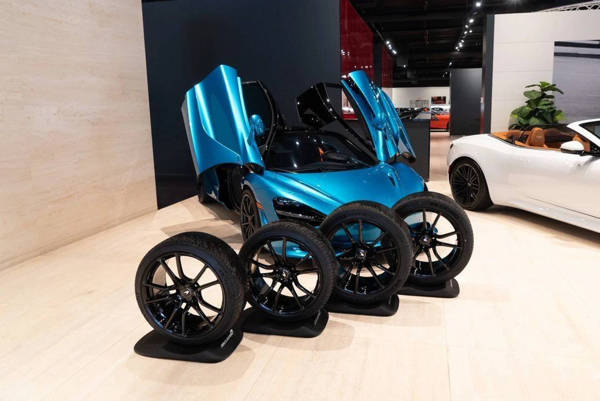 mph040_1332869951_6d9a526824e6e34df997e51b725b8209_528c5fa84a