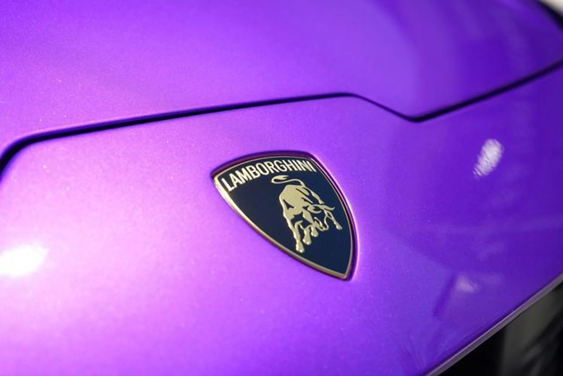 mph040_152132815_23014494_41_9e41acfc02