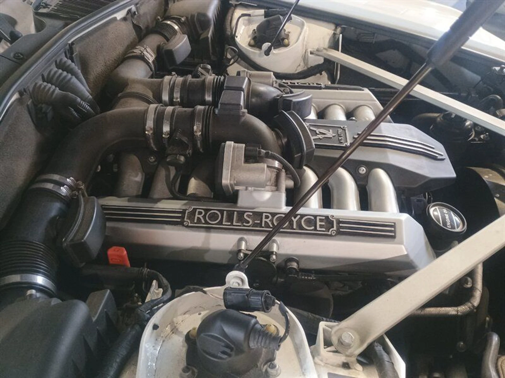 mph040_1709195929_d51f1f5613_800_d4e0871840