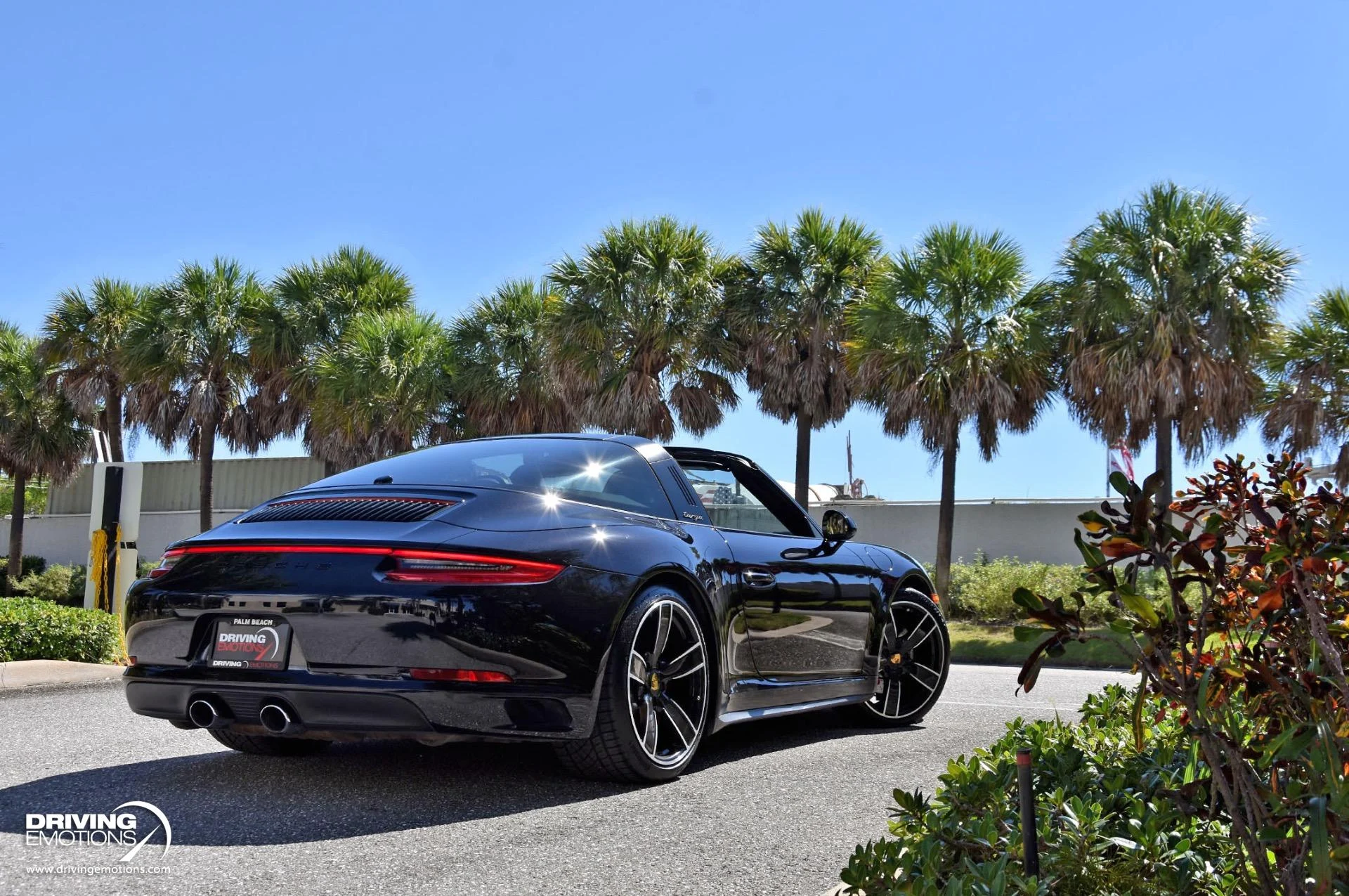 mph040_1741308561_868_p41_l_b563a64c9b