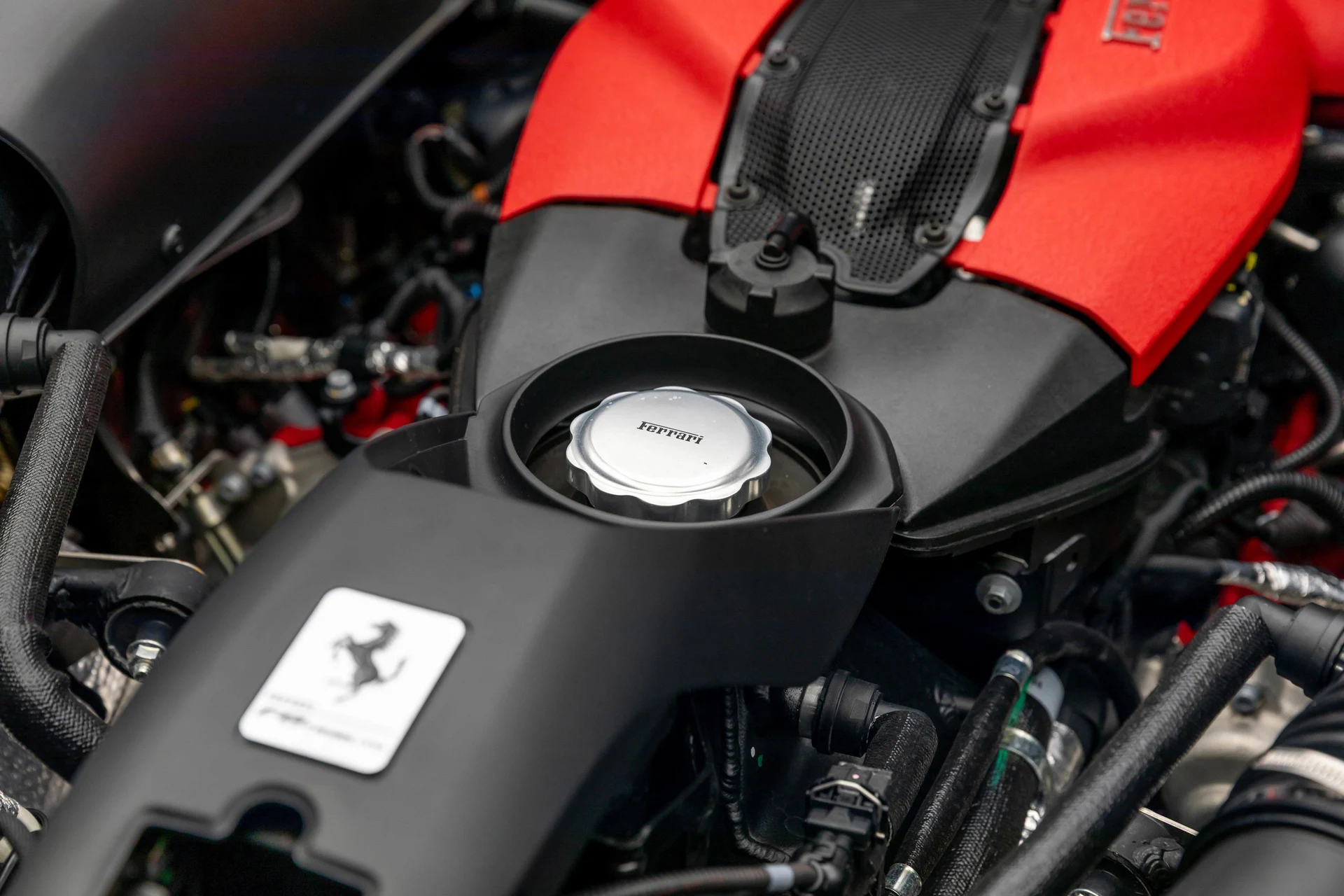 mph040_1984038276_e8ff137478aa473db650c447a82040cd_696ab047bf