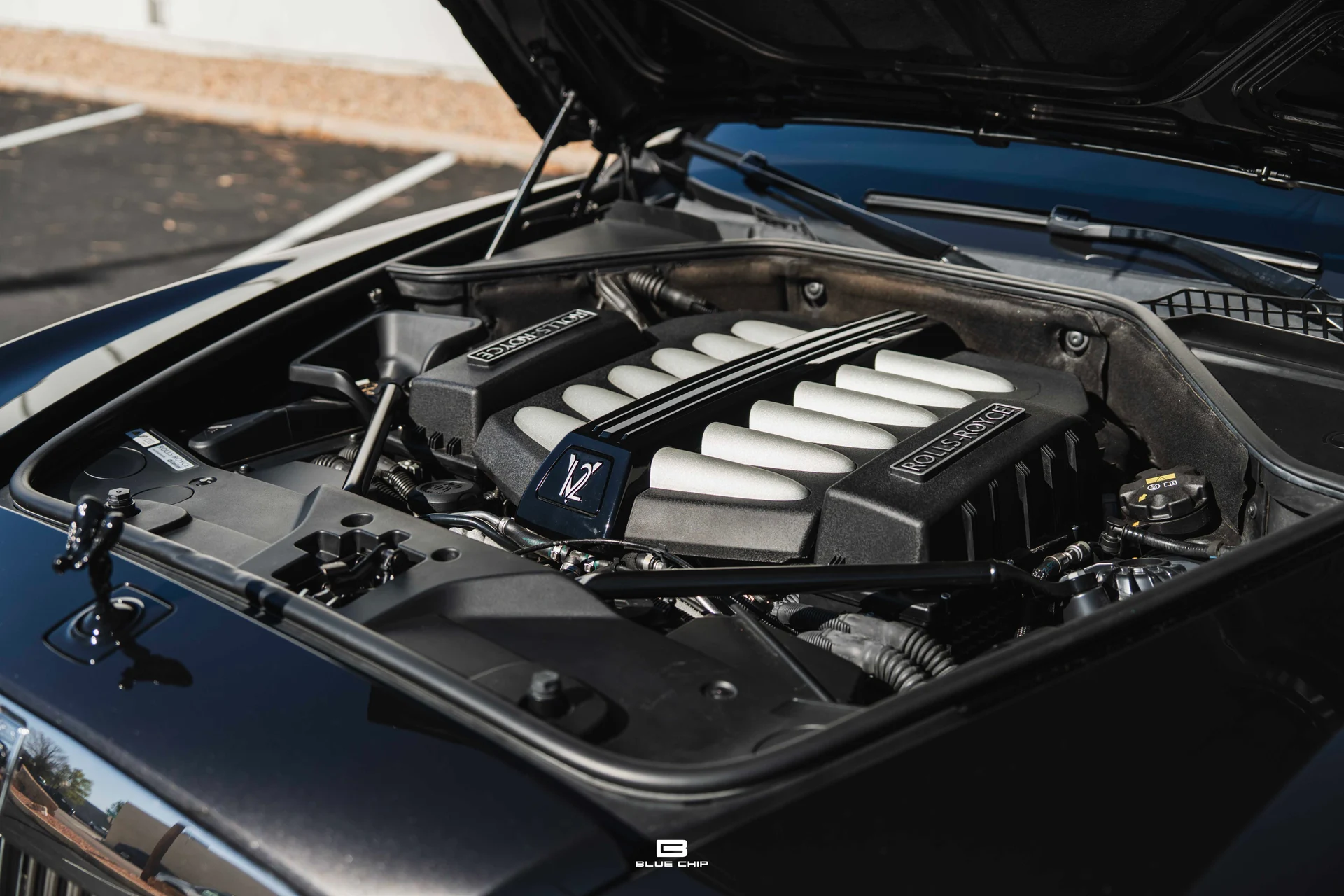 mph040_2009949564_690183ac8a99170e6eae1aff_DSC_06897_c3b30214bd