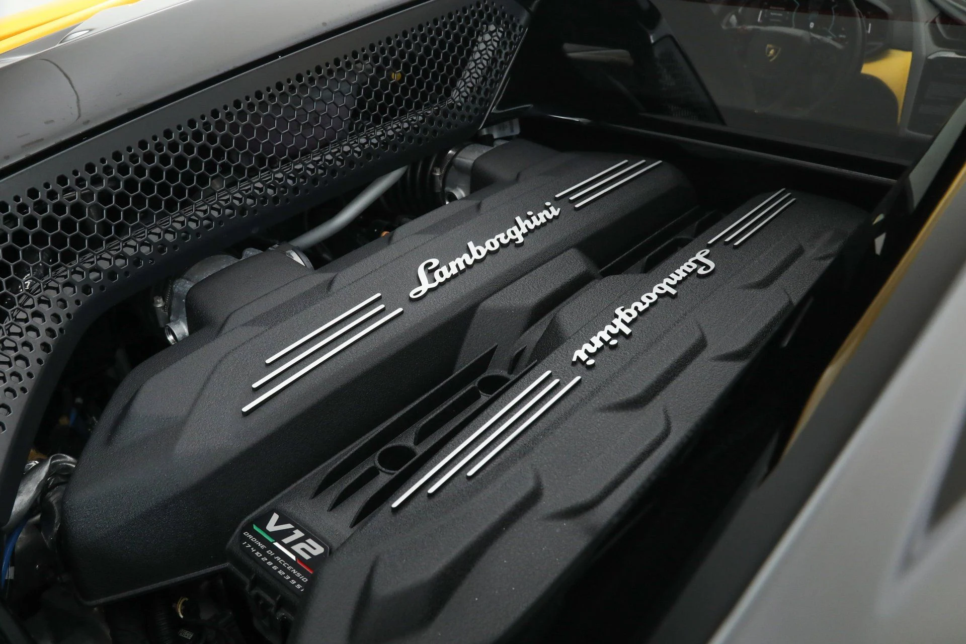 mph040_2050348332_d2b8911590d7e57ea78b85d592e66cd9_a045c5479e