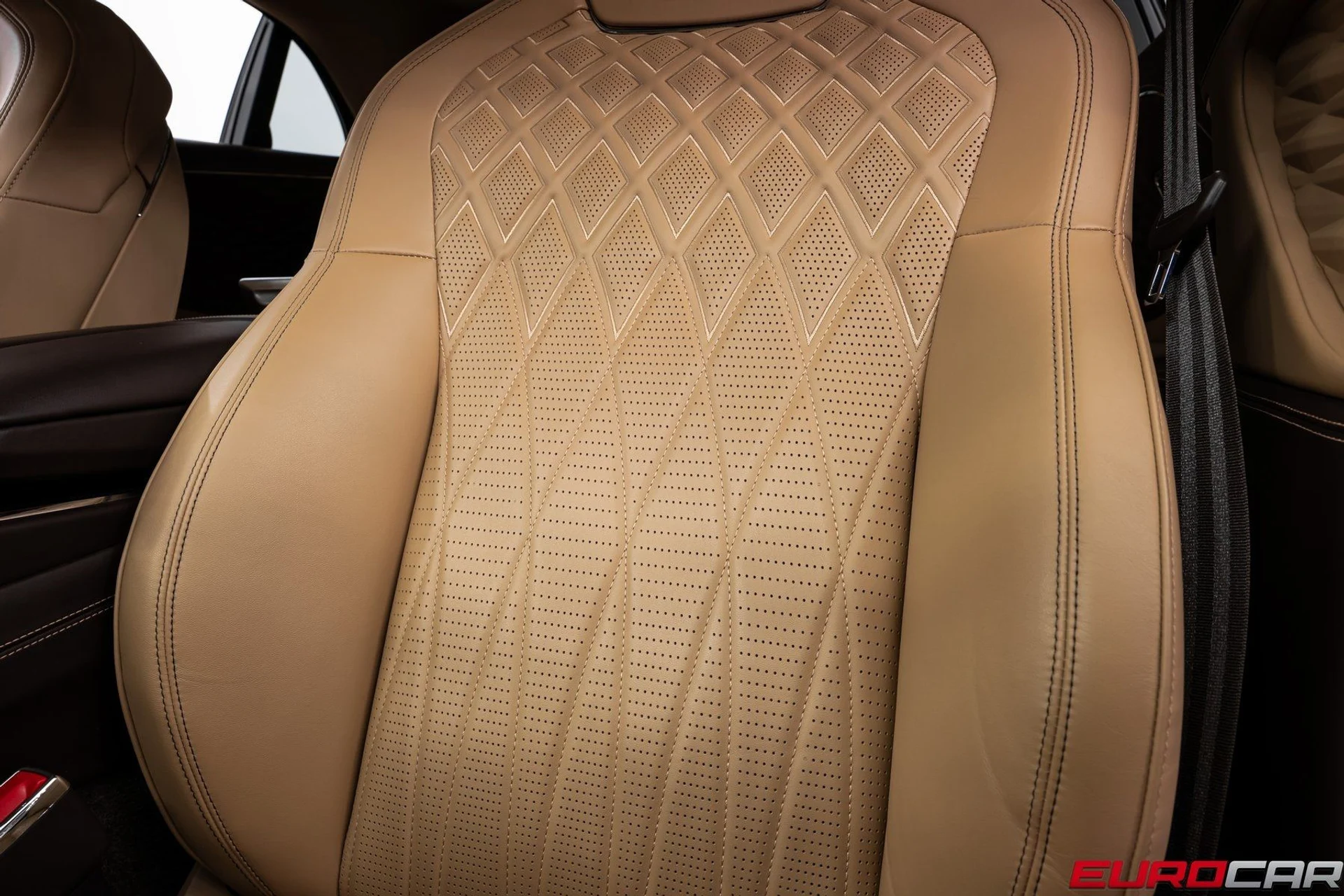 mph040_2137115619_image_41_6493f64cc0