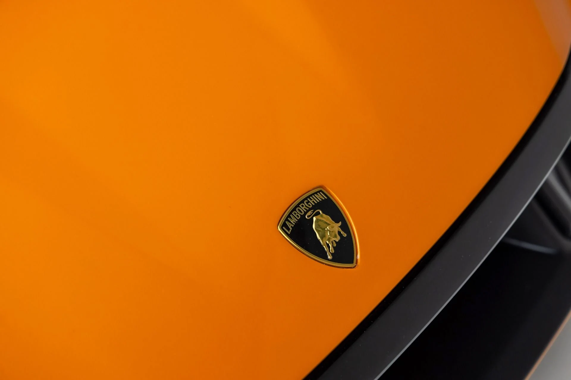 mph040_2306609973_13165_p41_l_e7bc4a14ec