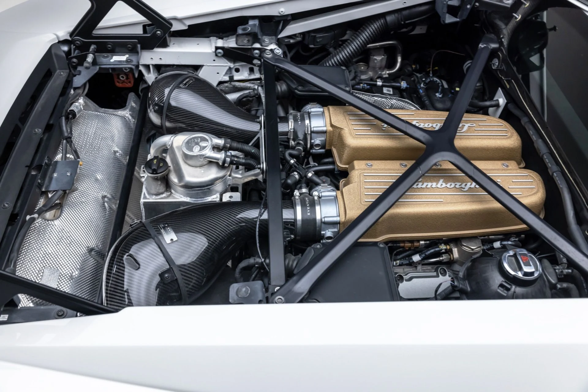 mph040_2390475577_13197_p41_l_e6a574e4c4