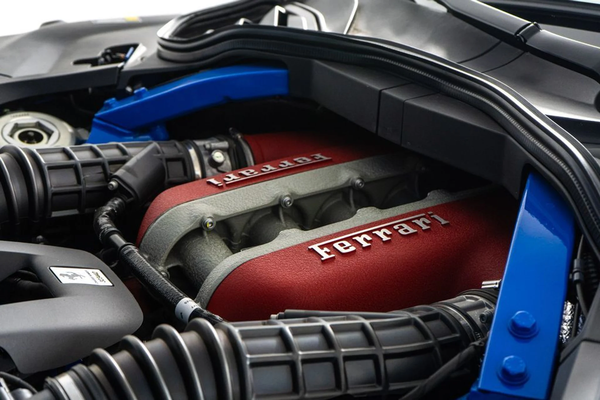 mph040_2415312763_934f9cce_f566_43bb_b0b3_332234e0016c_2a5a71a9d0