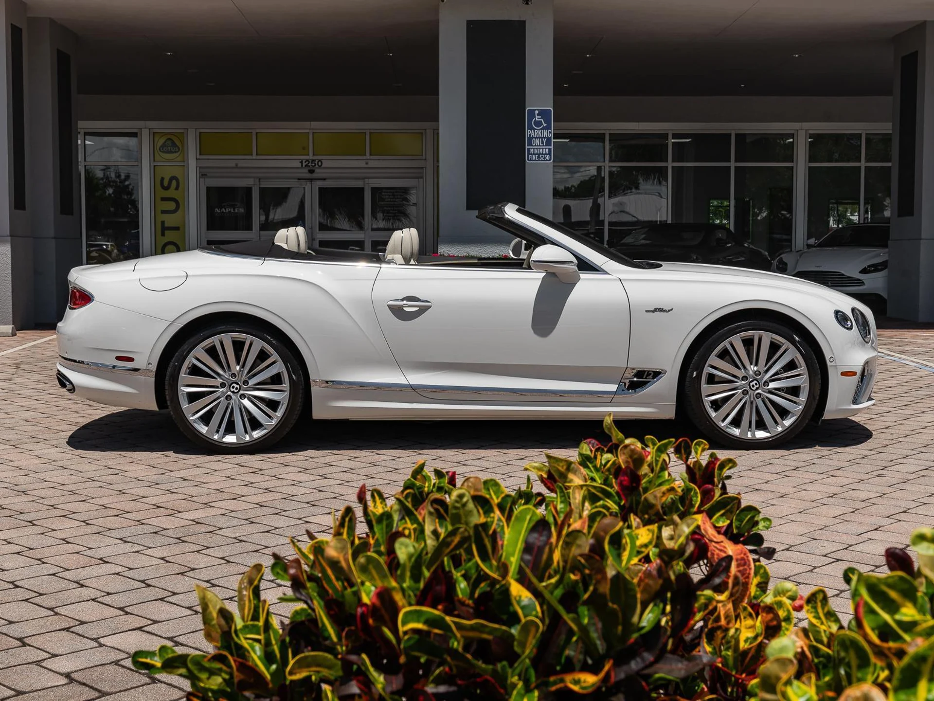 mph040_2467761232_Used_2022_Bentley_Continental_GT_Speed_1780952658_0237b252f1