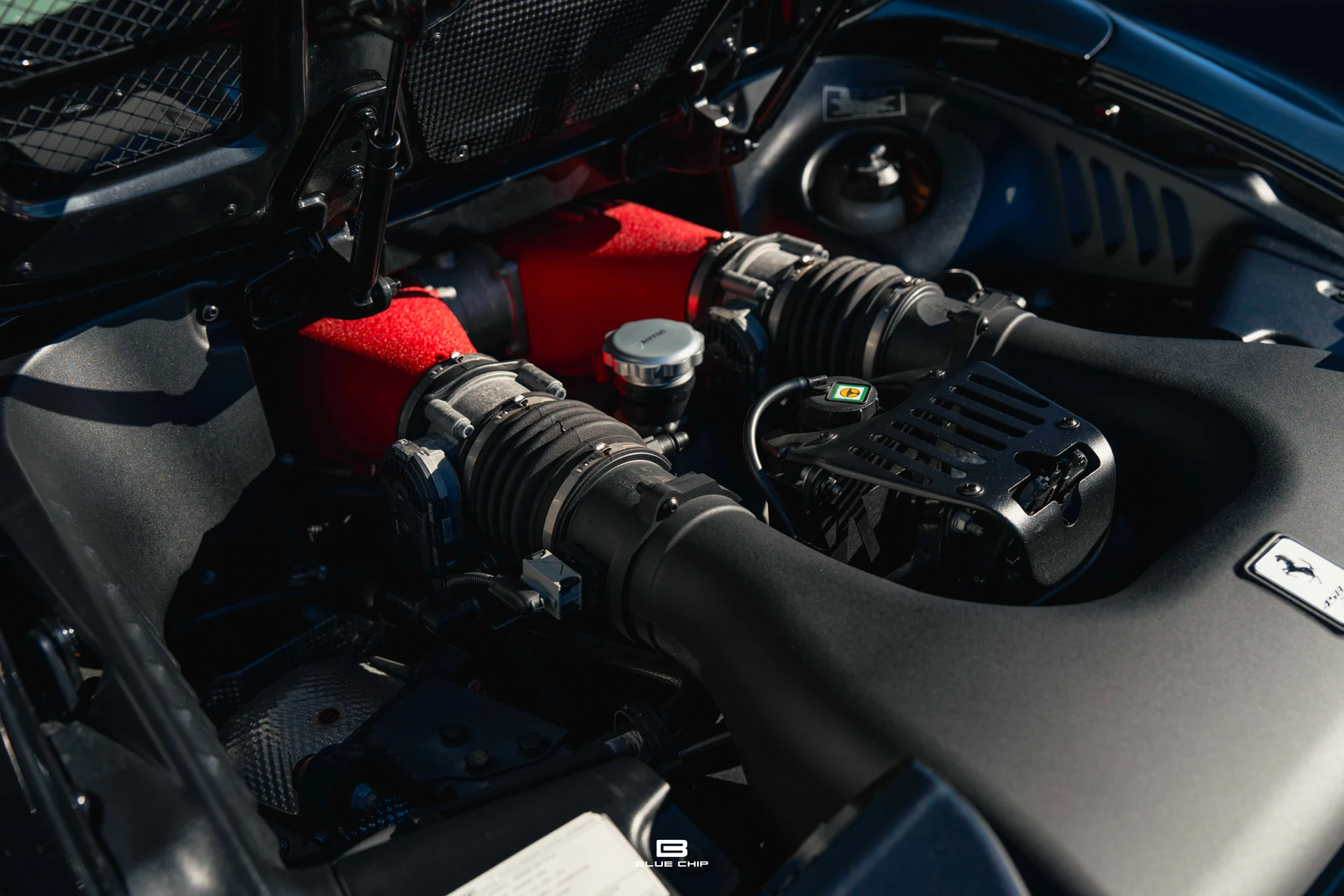 mph040_2600976936_69543670334d625f349346bd_A7409339_96b2b659d8