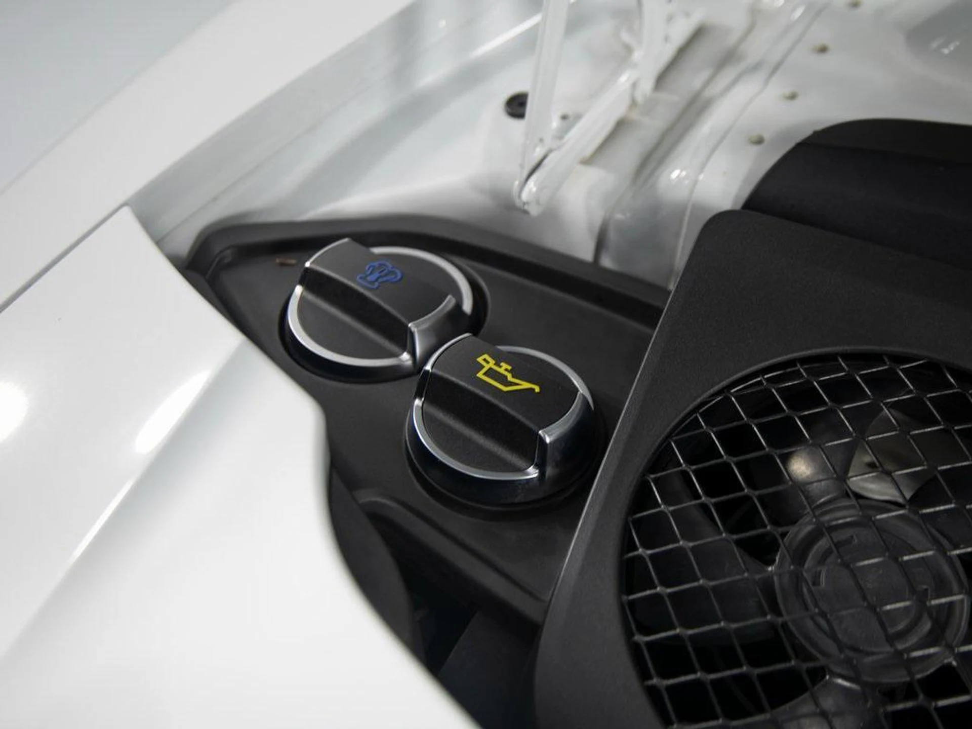 mph040_2842650171_4509e_Heg_B0_A_Xaserj_R_u_ZSB_Ya_NM_7d41e96097