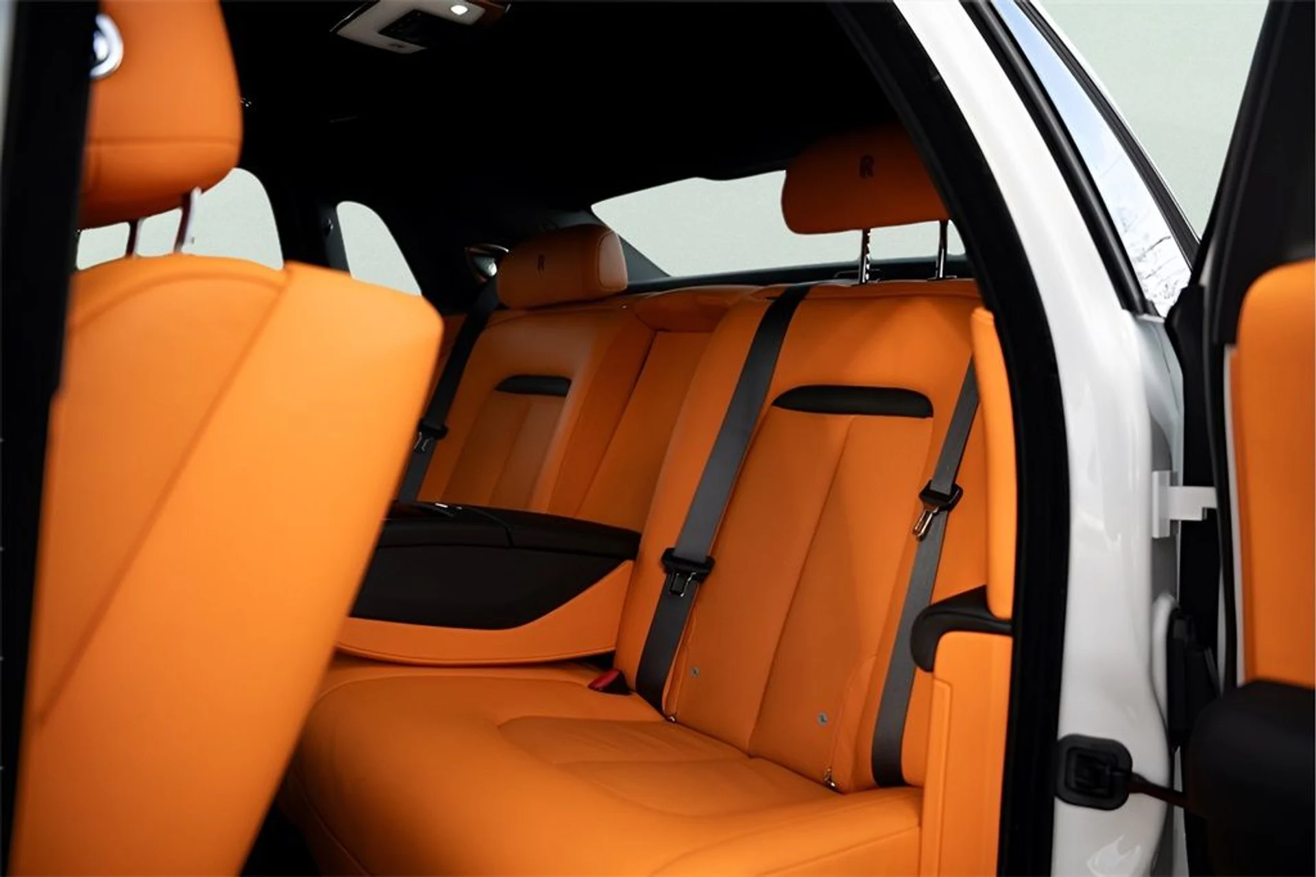 mph040_2991717968_image_42_a4416e98f0