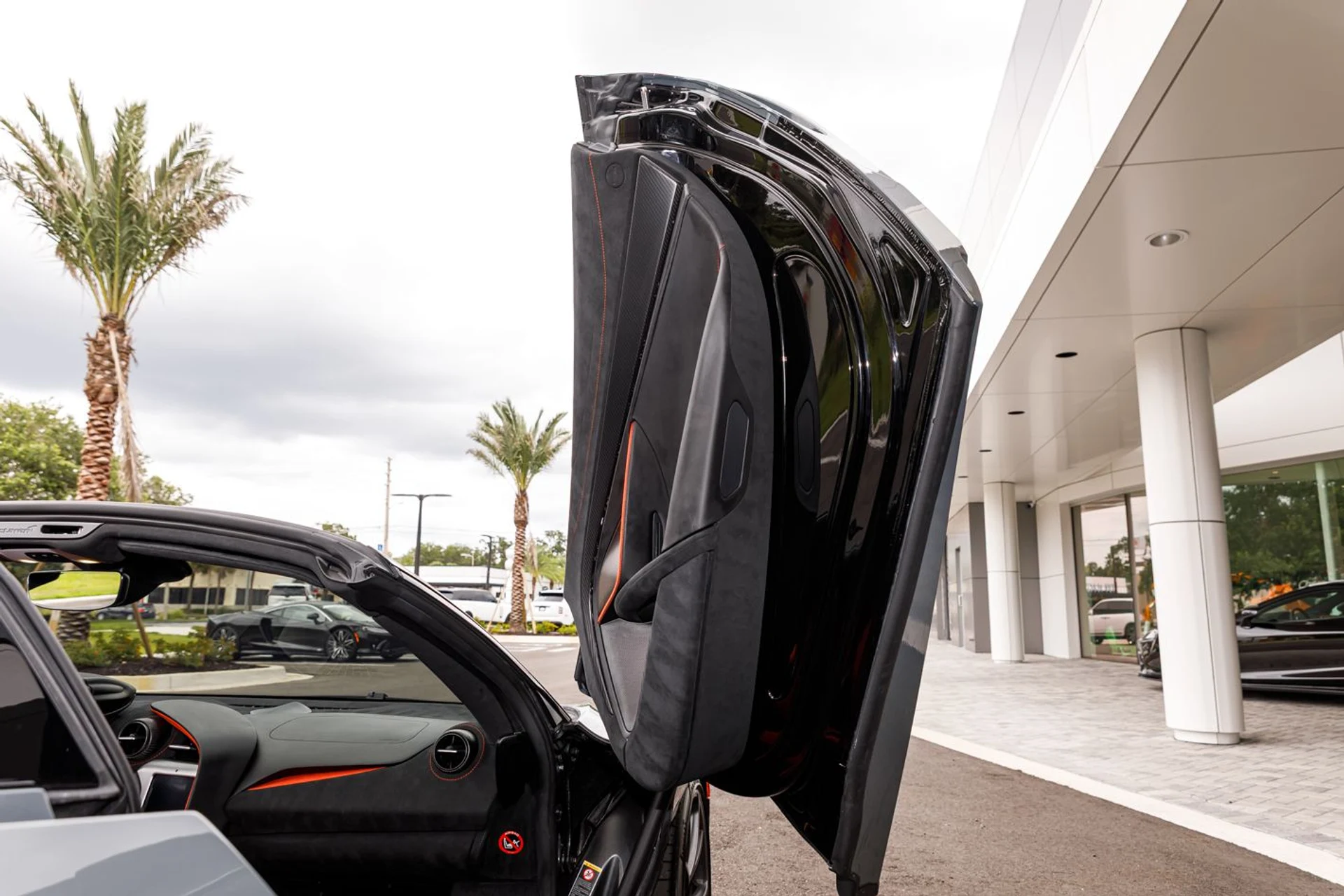 mph040_3034166782_579_p41_l_2e3d45bc71