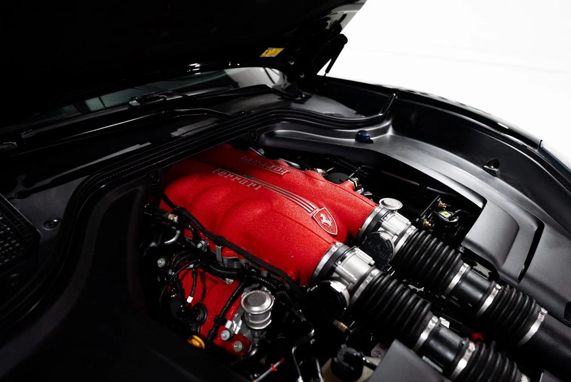 mph040_3042579071_89a1076b725d14e9e14fbf8331c9cd32_4dc9a2a0f7