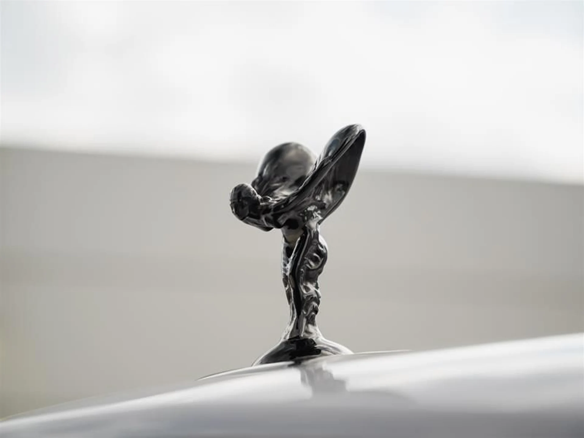 mph040_3115342770_c1t0nbqq_7fb65ecf34