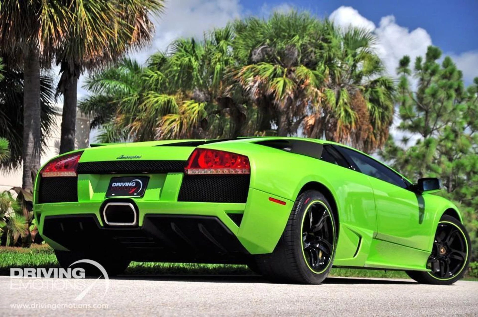 mph040_3270666335_15_p41_l_90e787041c