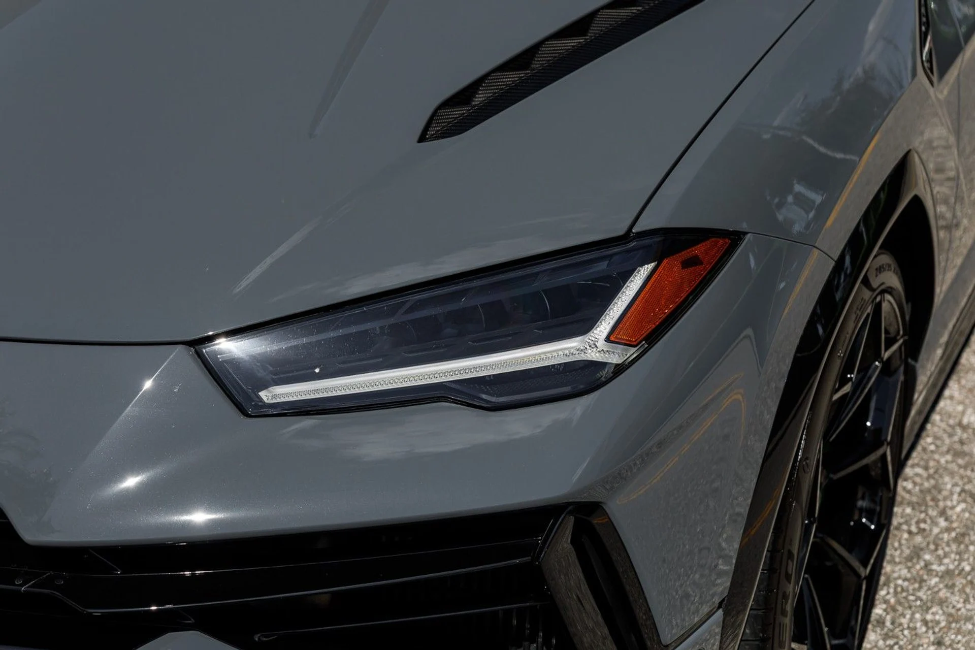 mph040_333685868_667_p41_l_74c952c14d