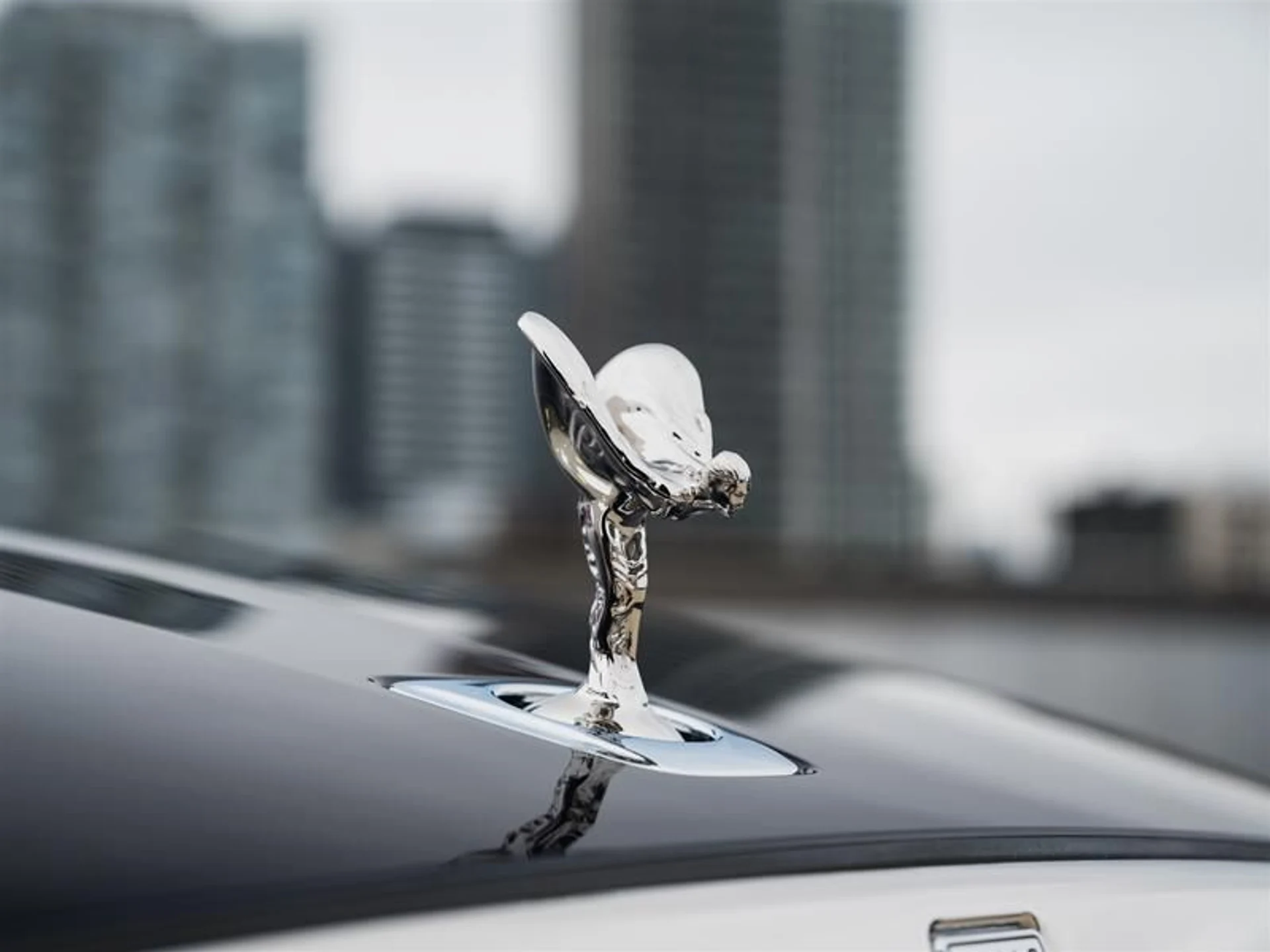 mph040_3550413212_wut12h4q_2686c39044