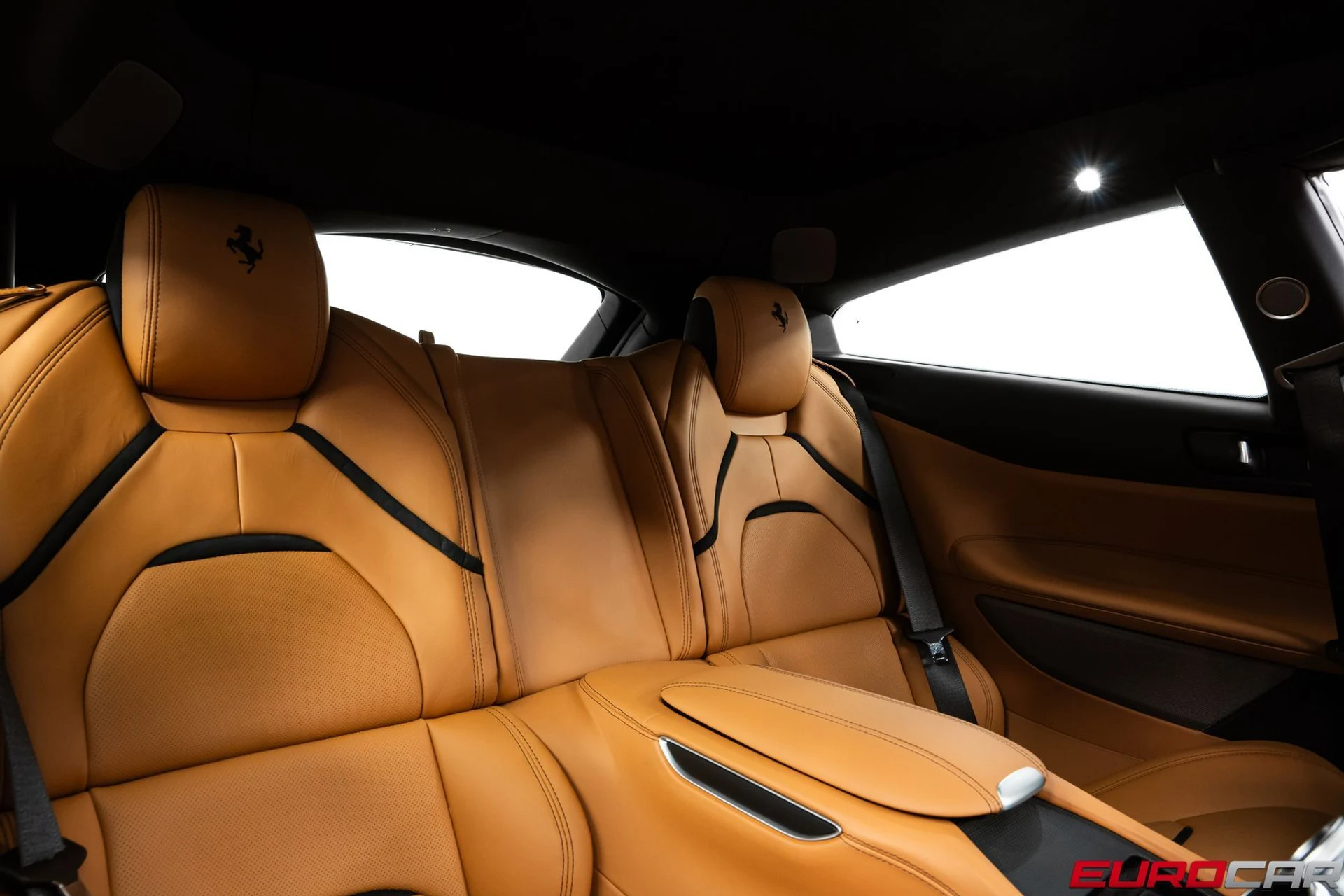 mph040_3553446615_0dfea3eb_b970_49a4_8f65_61fef7201d3e_09c9d6e714