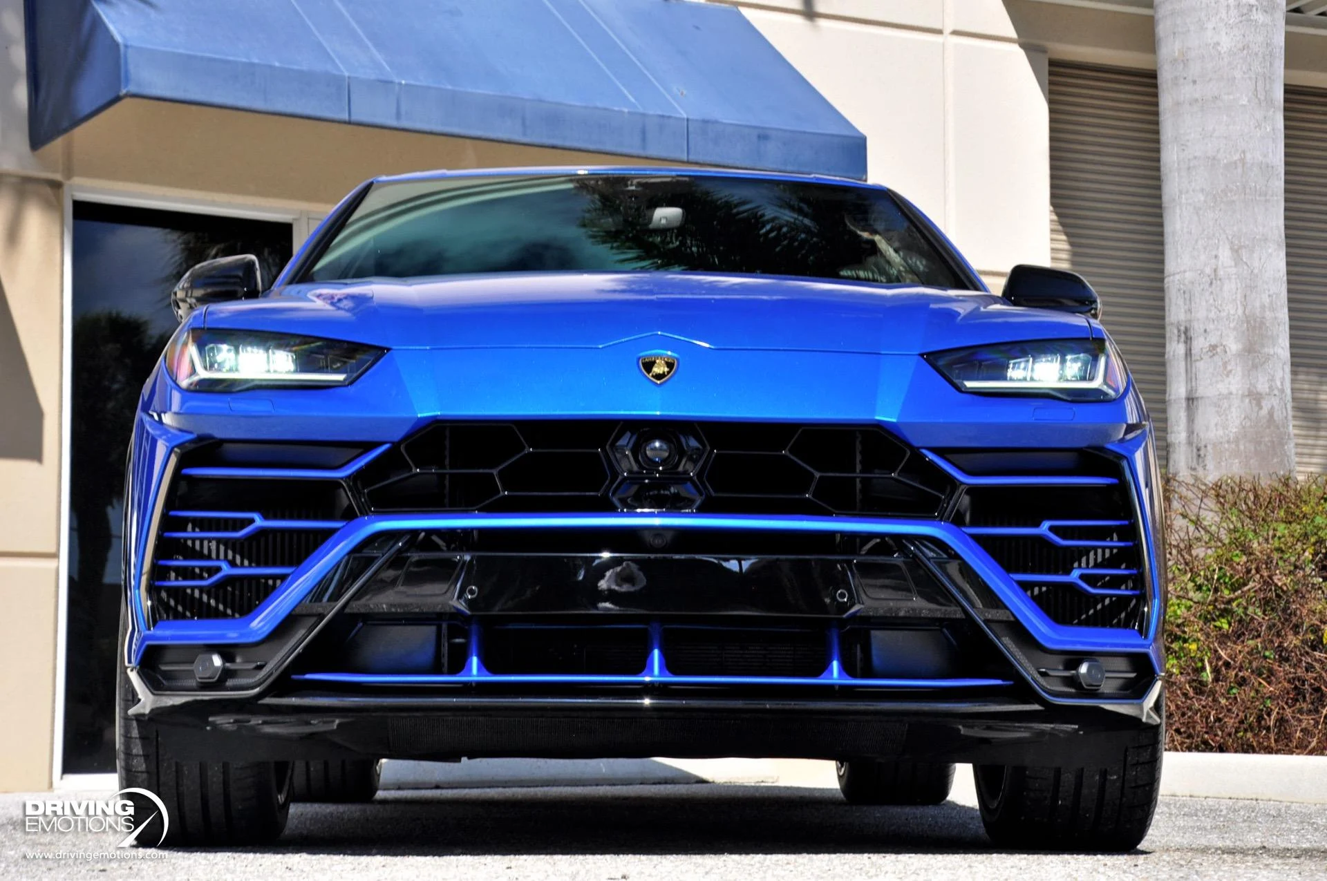 mph040_3643748781_801_p41_l_3fee168302