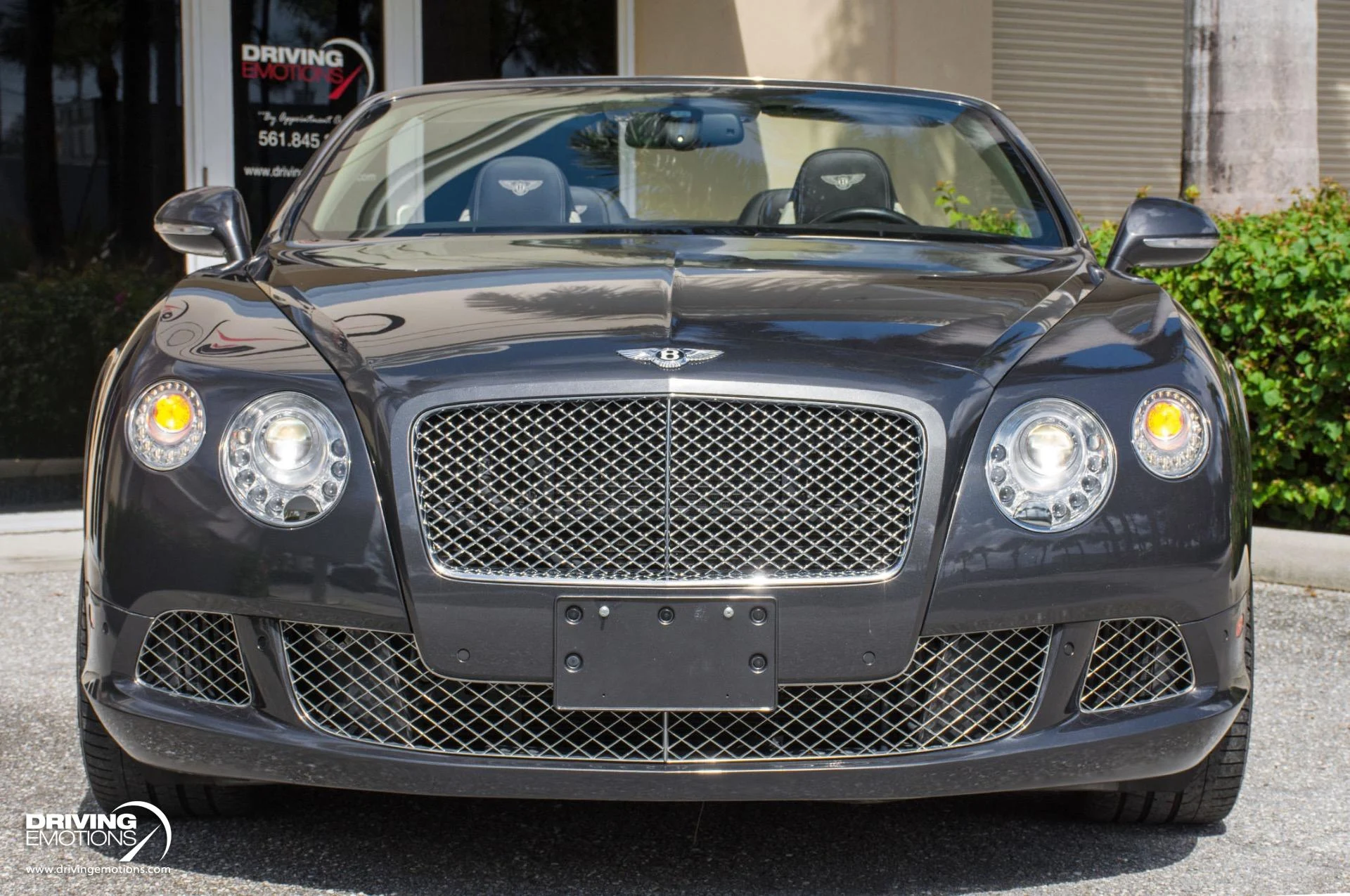 mph040_3650028689_871_p41_l_0d9a6b18cd