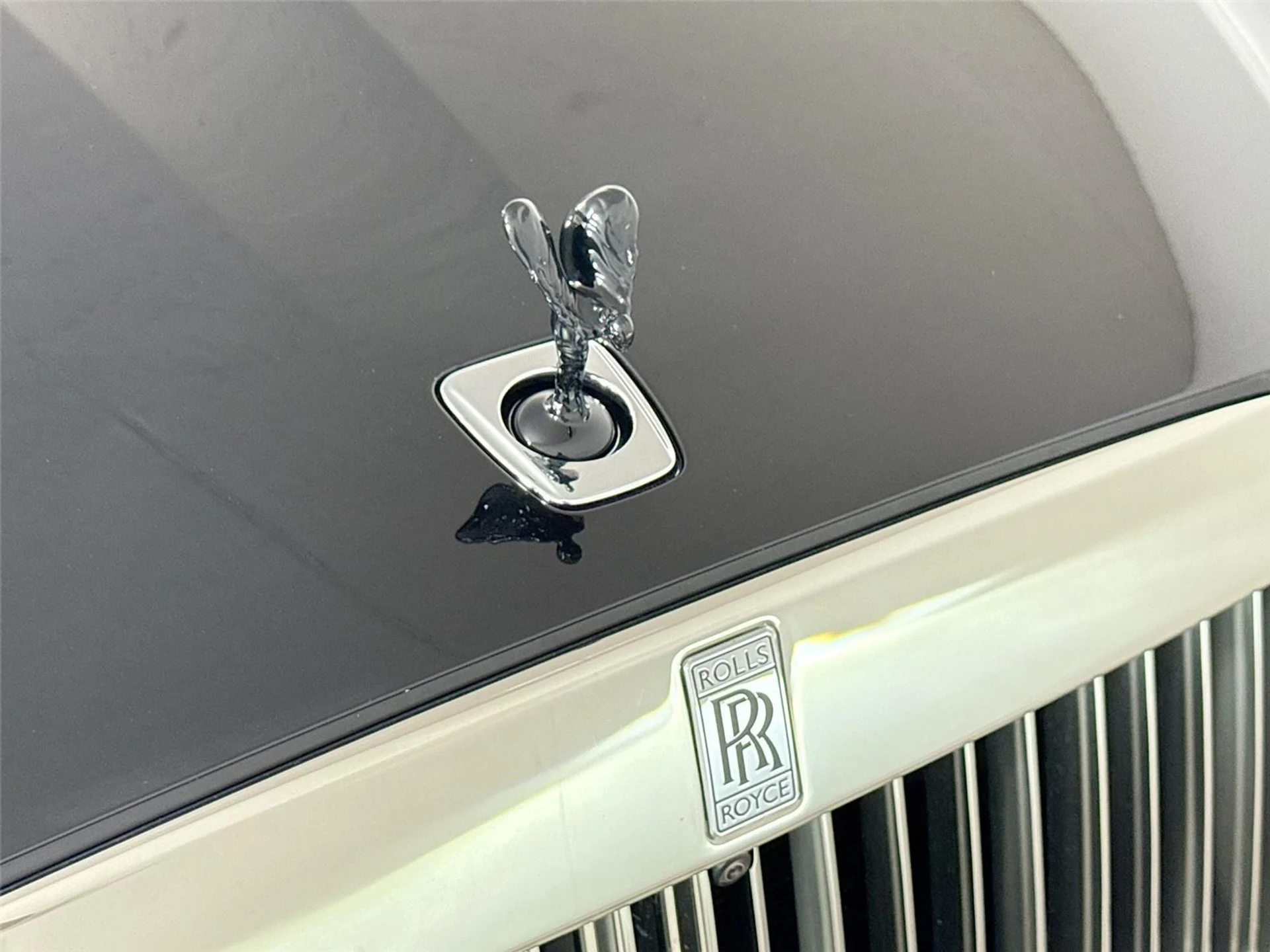 mph040_3665856783_5b150efc4ecb129e18b84f482e87f1af_9ee768876b