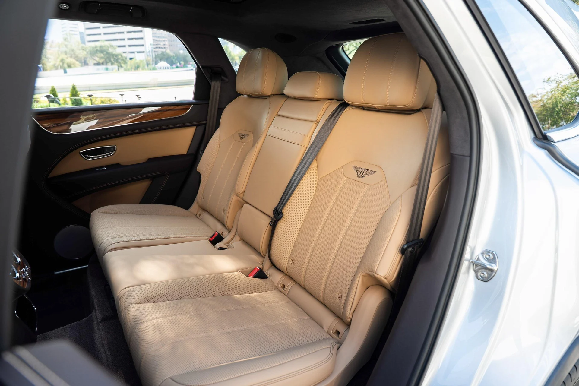 mph040_3777206921_458241672_6903b3bb0a044fad19f2ba1c_558ffcf64f