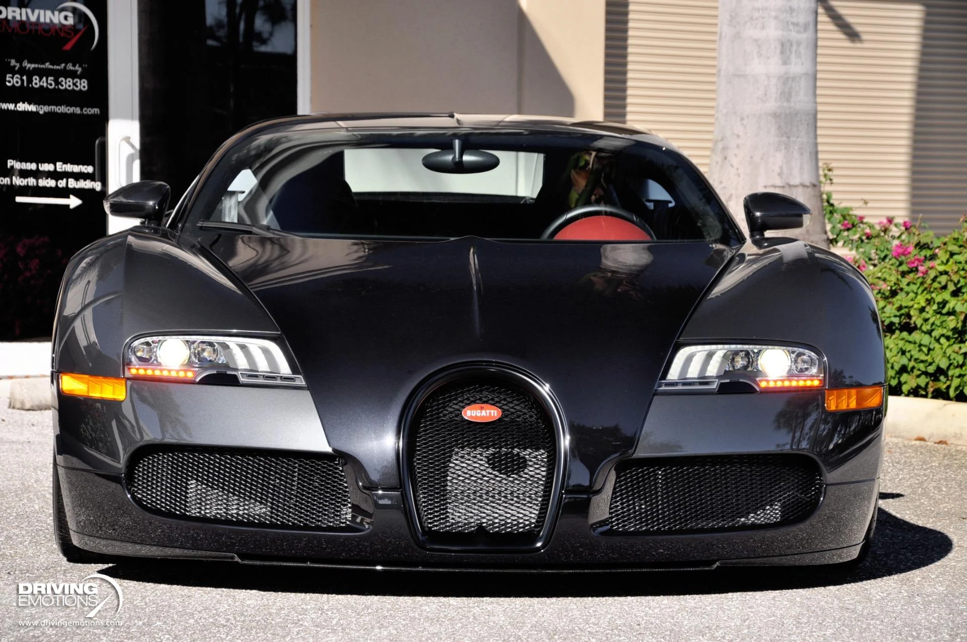 mph040_4016230505_479_p41_l_d892993869