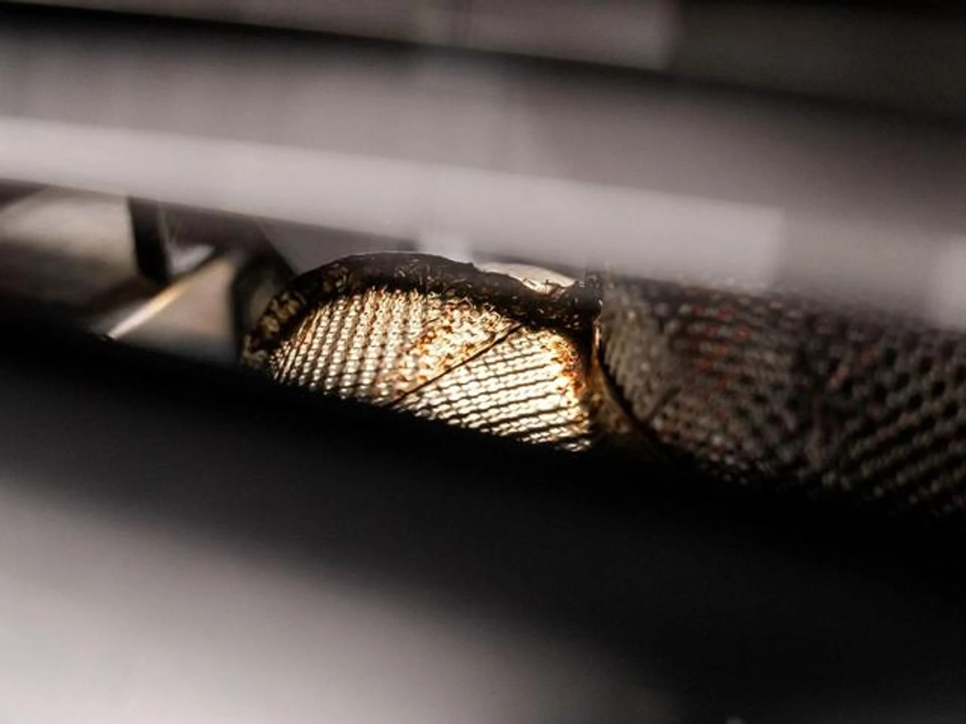 mph040_4025209518_Sai_Q4yp_GZN_31_XMNBA_3d_X6ur_NW_Zo_e30119a359