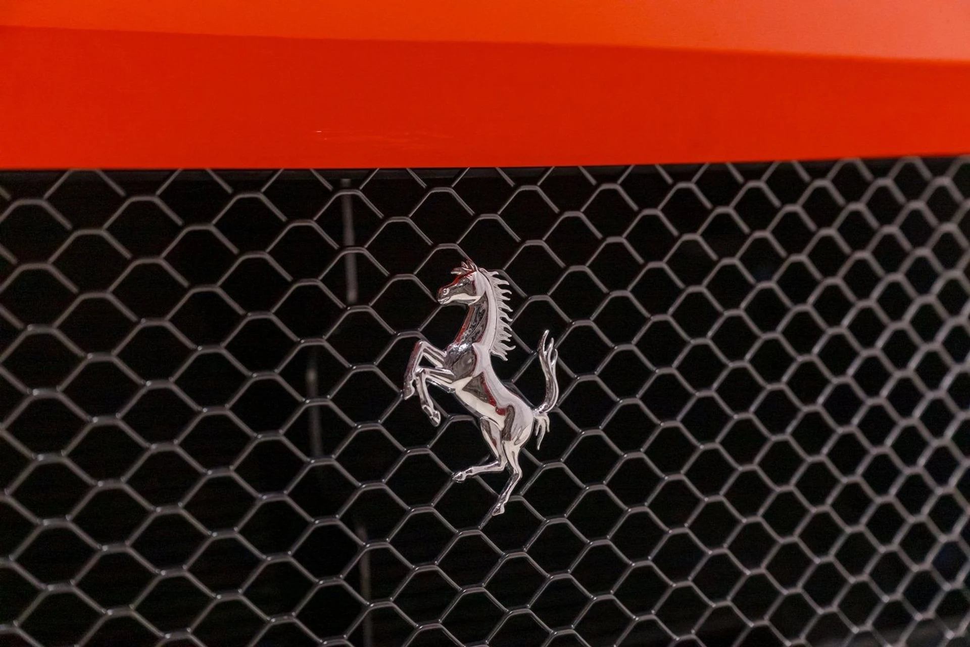 mph040_4098208477_0c827570cd74497c8b10546ccc5de531_613858af11