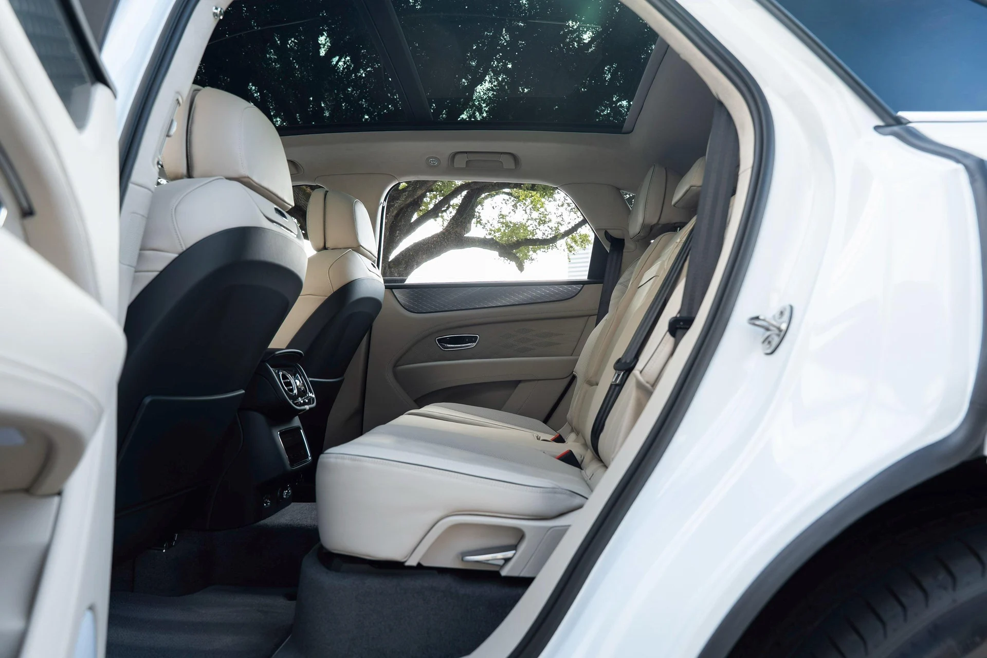 mph040_4277609053_462758411_6954bf9a4e73cd9f103f4ee8_e252552564