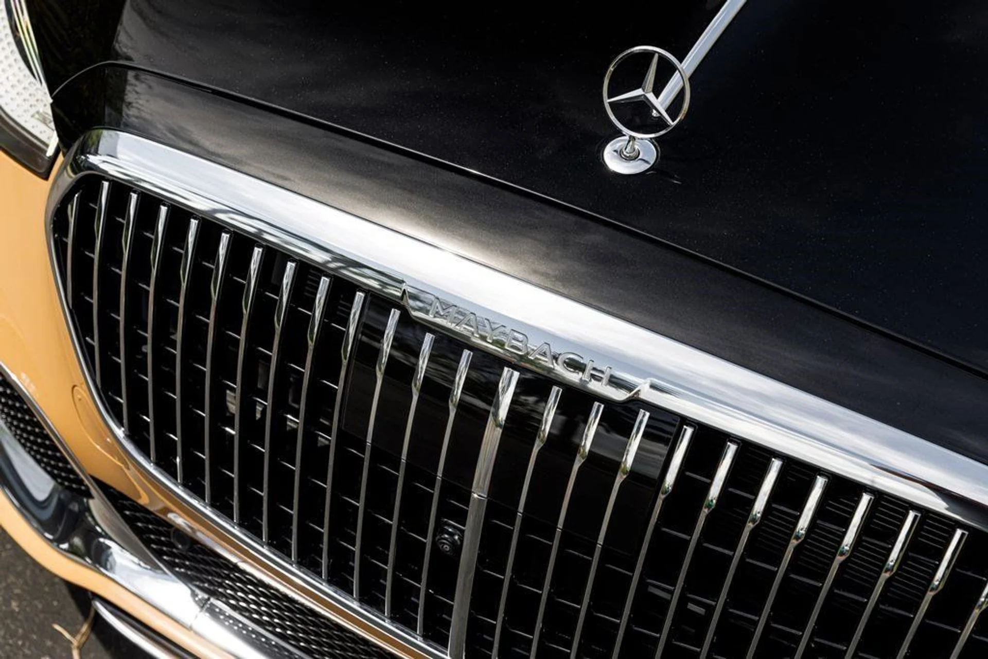 mph040_720573114_840e0111b9d067fa8a75b44c7761f24d_9eb12291cb