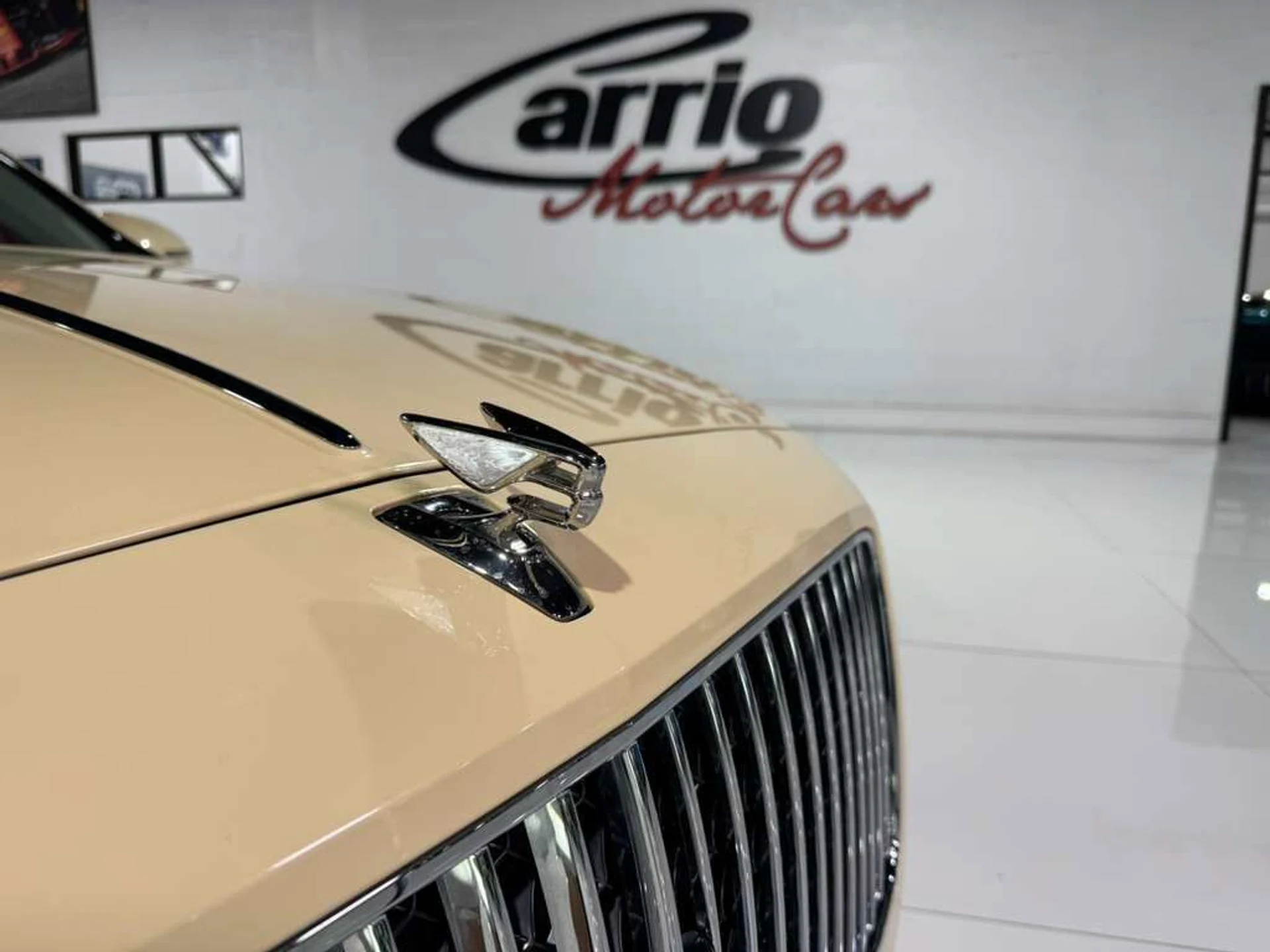 mph040_824047544_e5afc19fd37c84545b4c129f61f55d85_f4f23fdff2