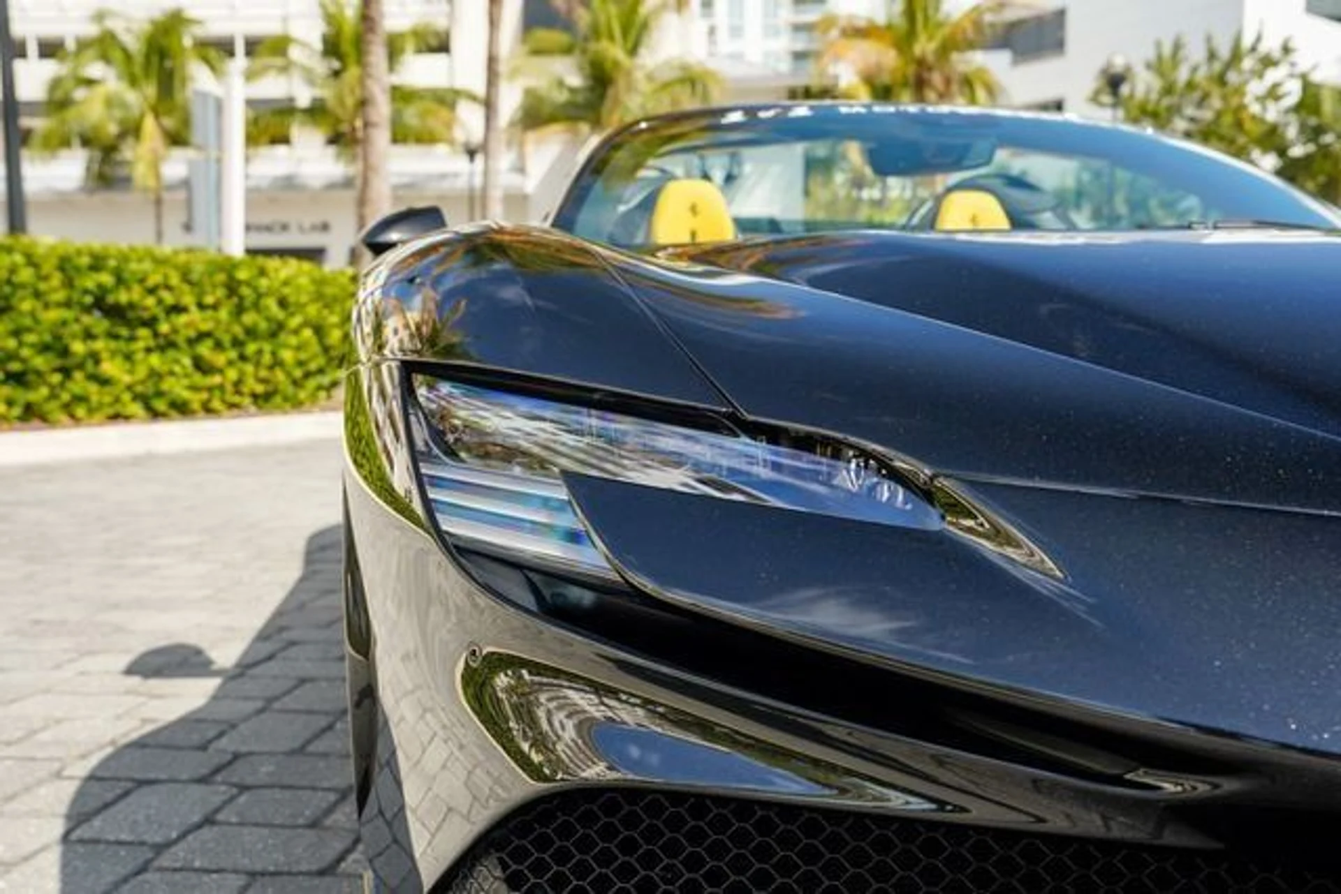 mph040_892159304_22986484_41_ec3593b5be