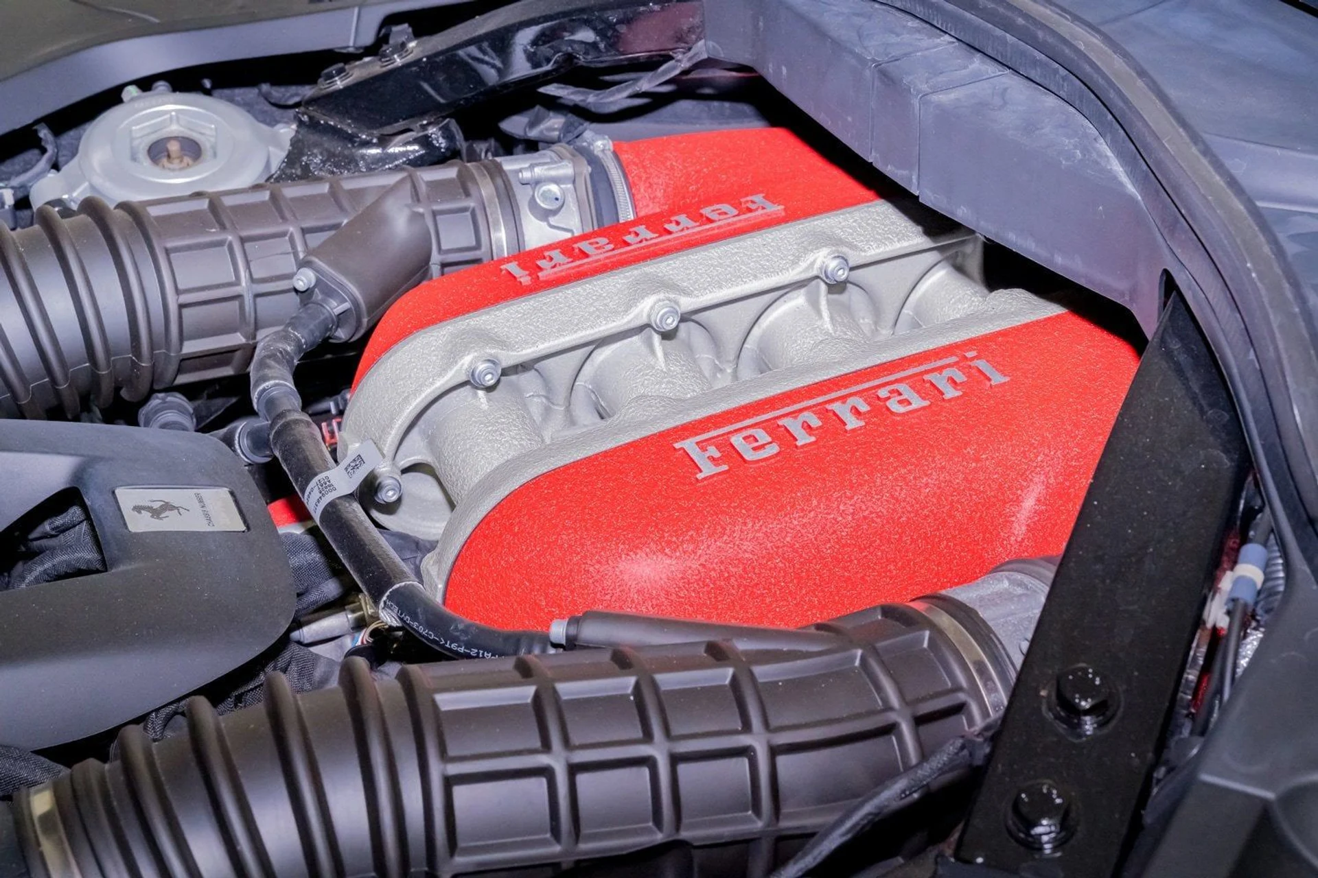 mph040_908134876_b7556e3e74e747d99b57ae17571815d7_312dd169df