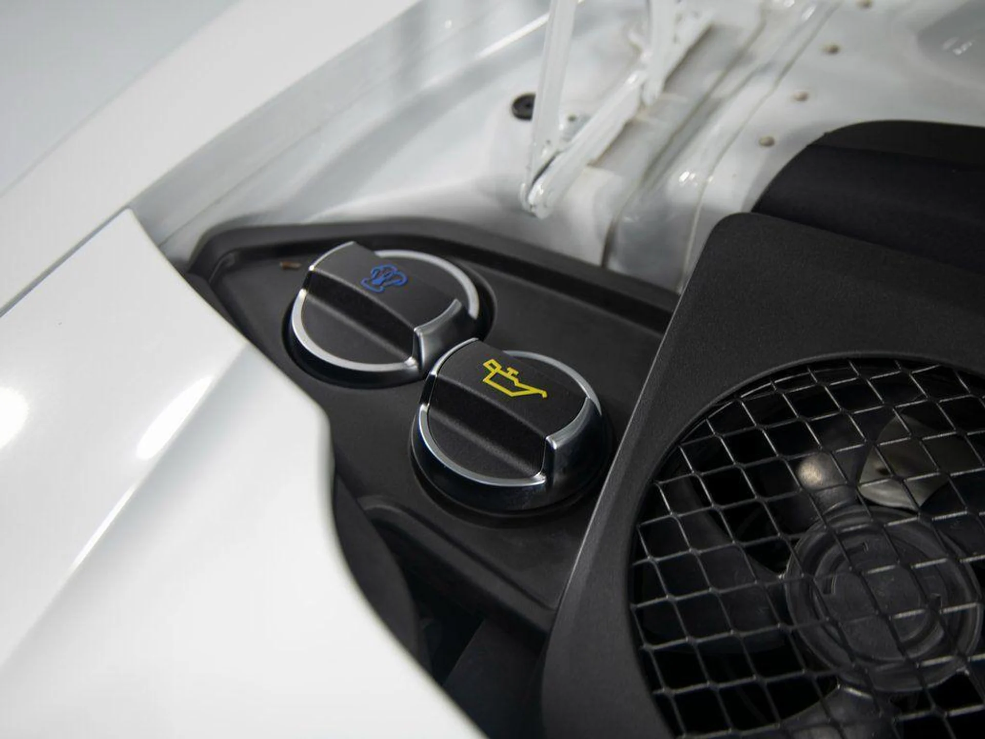 mph040_951579810_s_B323_OX_2ca_Ltu61guo_Cd_Cni6_C6g_73b5852799