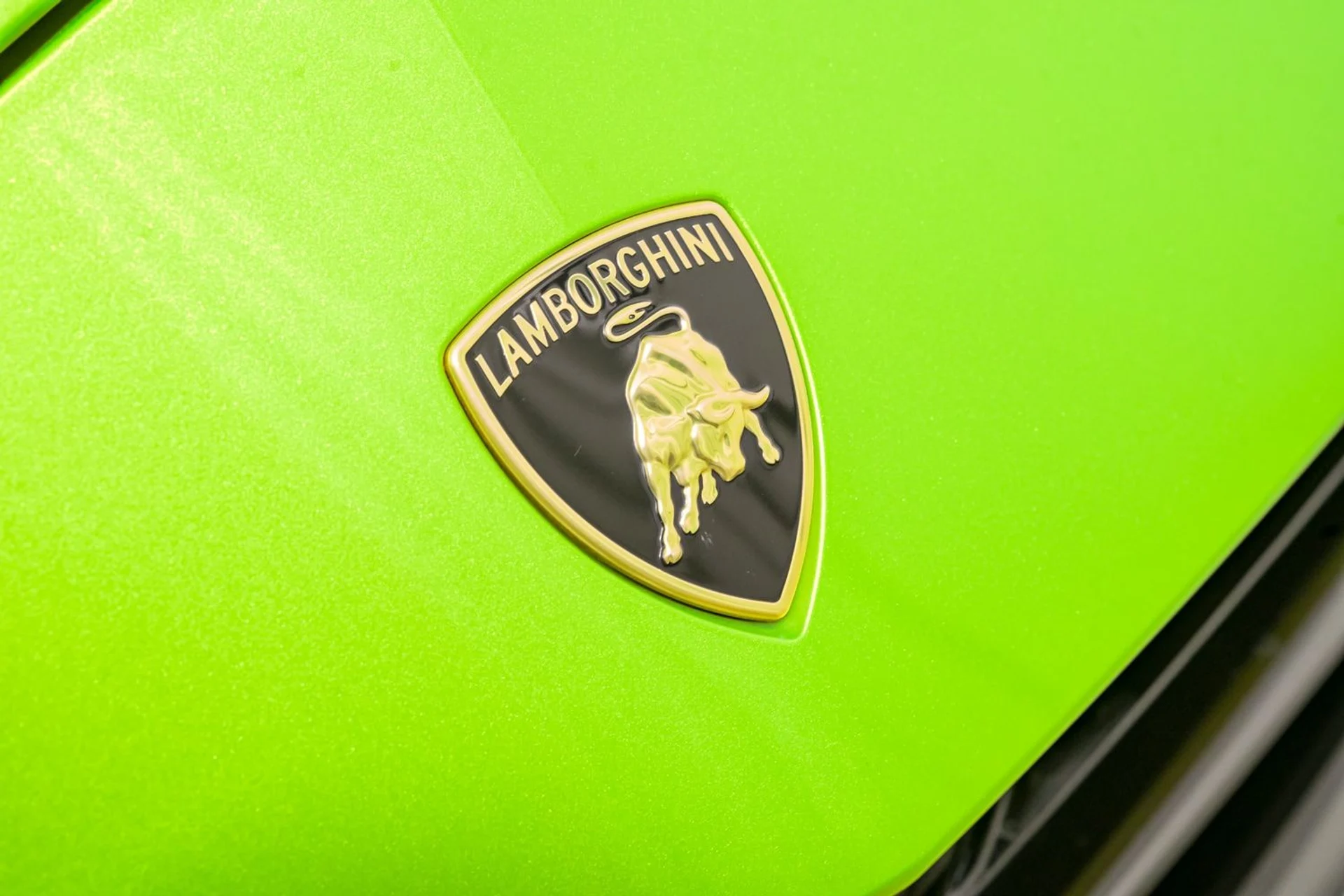 mph041_1737455935_d957dc8617bb4983a397cdb520bb0ae9_4142784f73