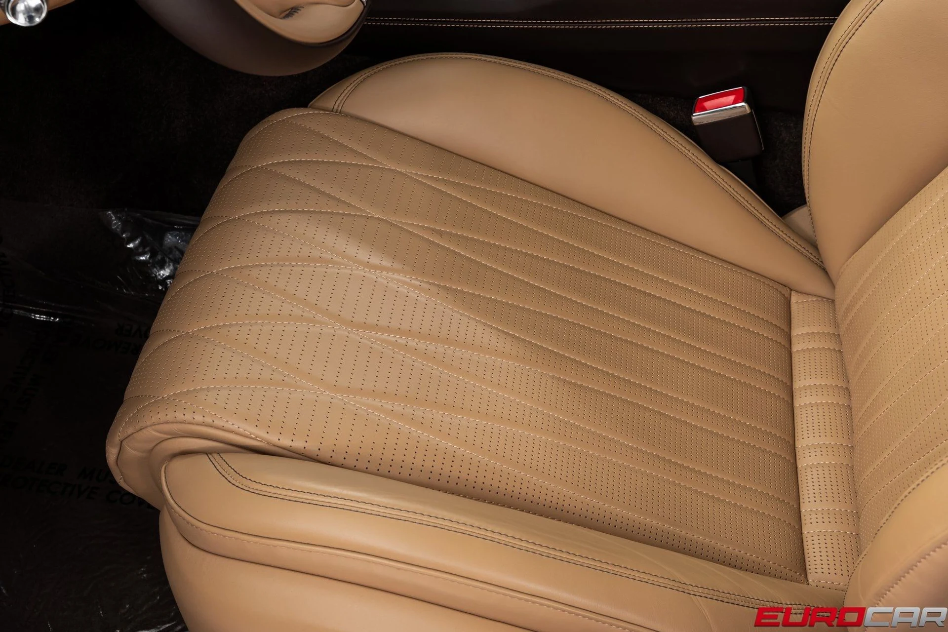 mph041_1741412697_image_42_02074697a4