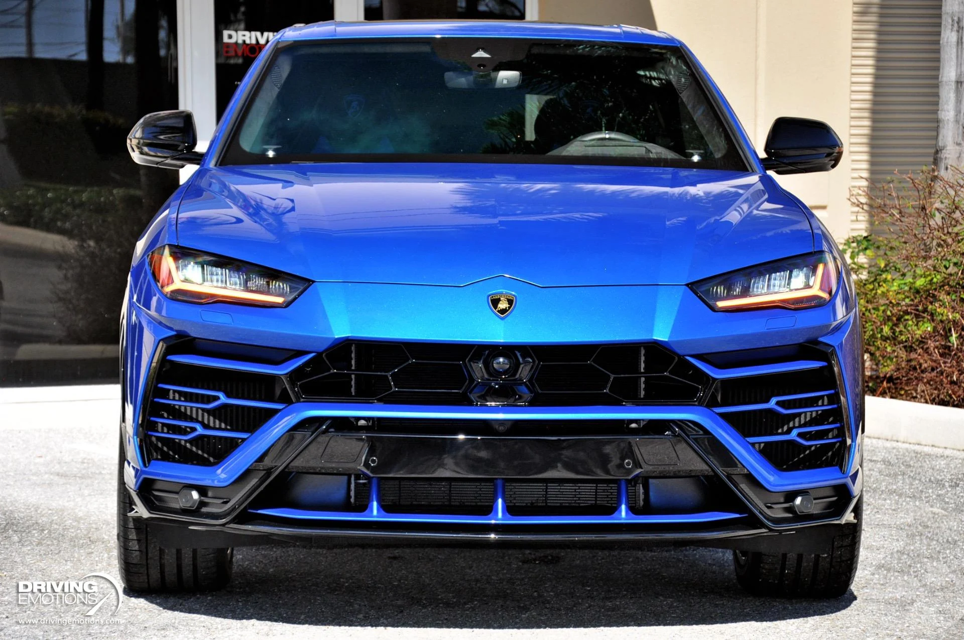 mph041_1742601972_801_p42_l_d3e0d98d12