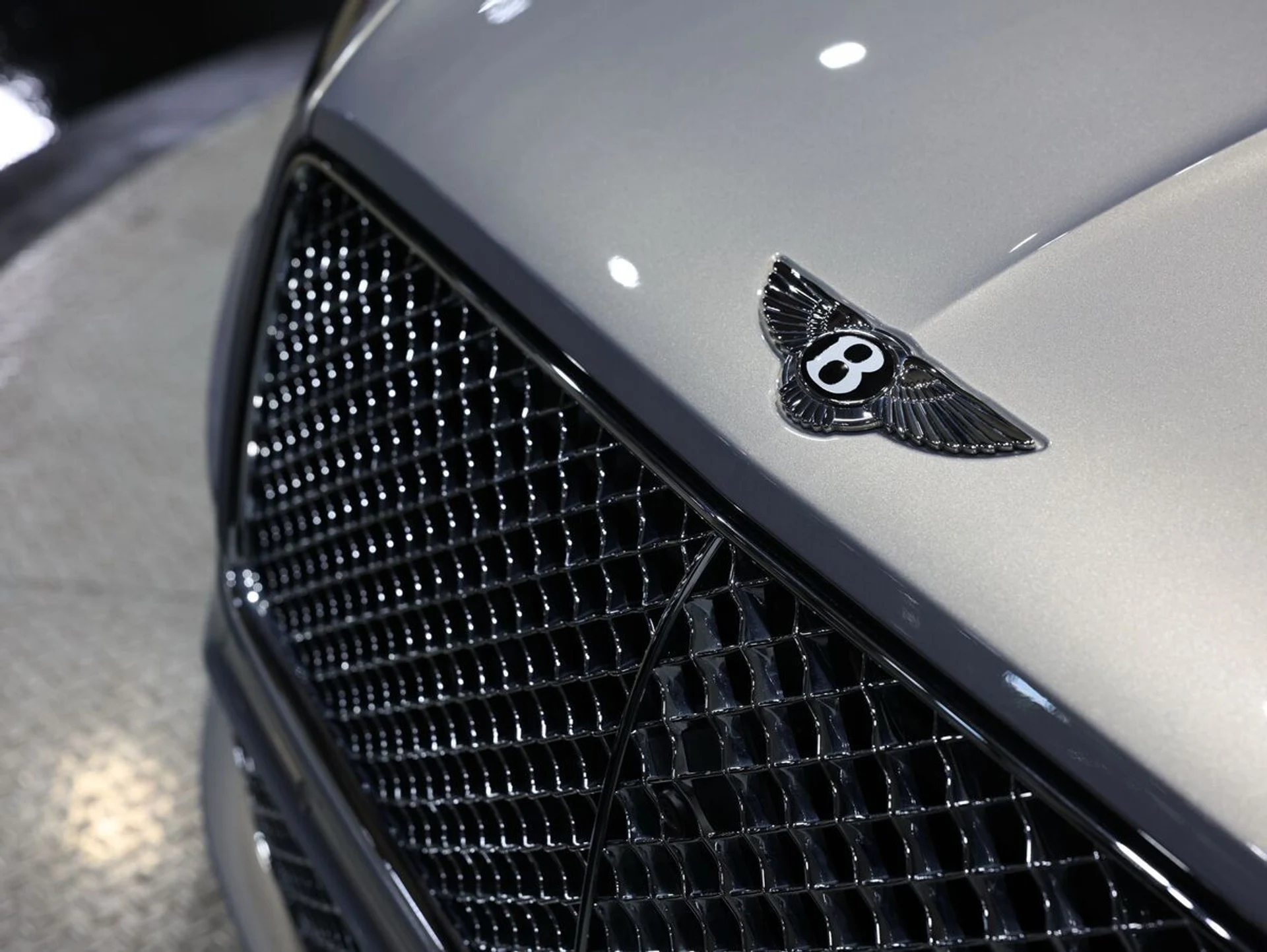 mph041_1924787822_lrrk549sh72tkze8hja7chgxv93r_87b3f22adc