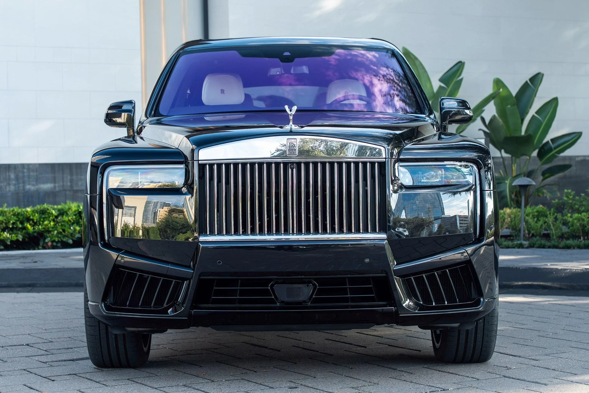 mph041_2181618522_459512611_695cc1fe8f3ee920bf518758_7cec60ae78