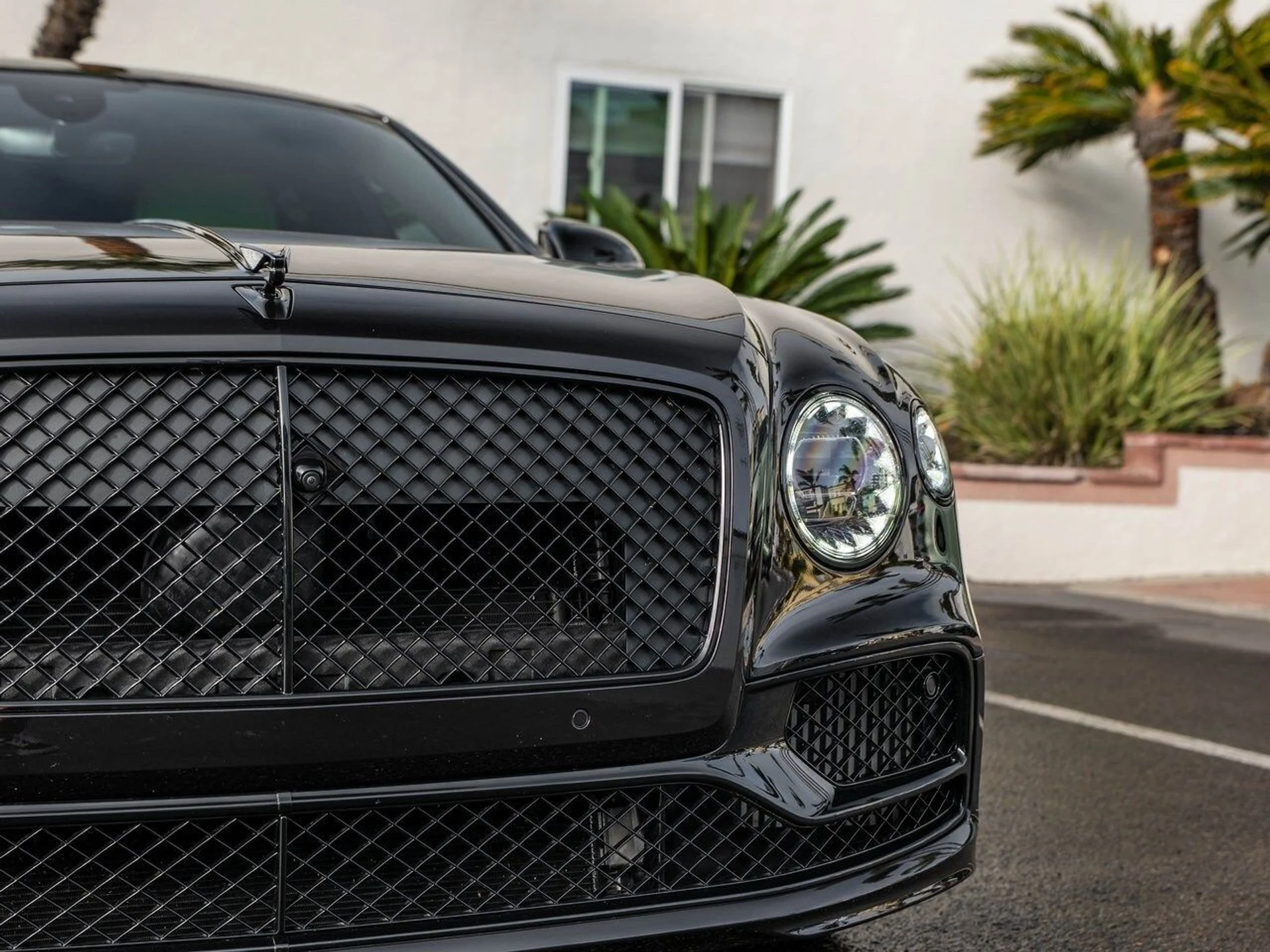 mph041_2305096520_3297fb2b8a91d5cd798de7c11419809bx_4124c0b867