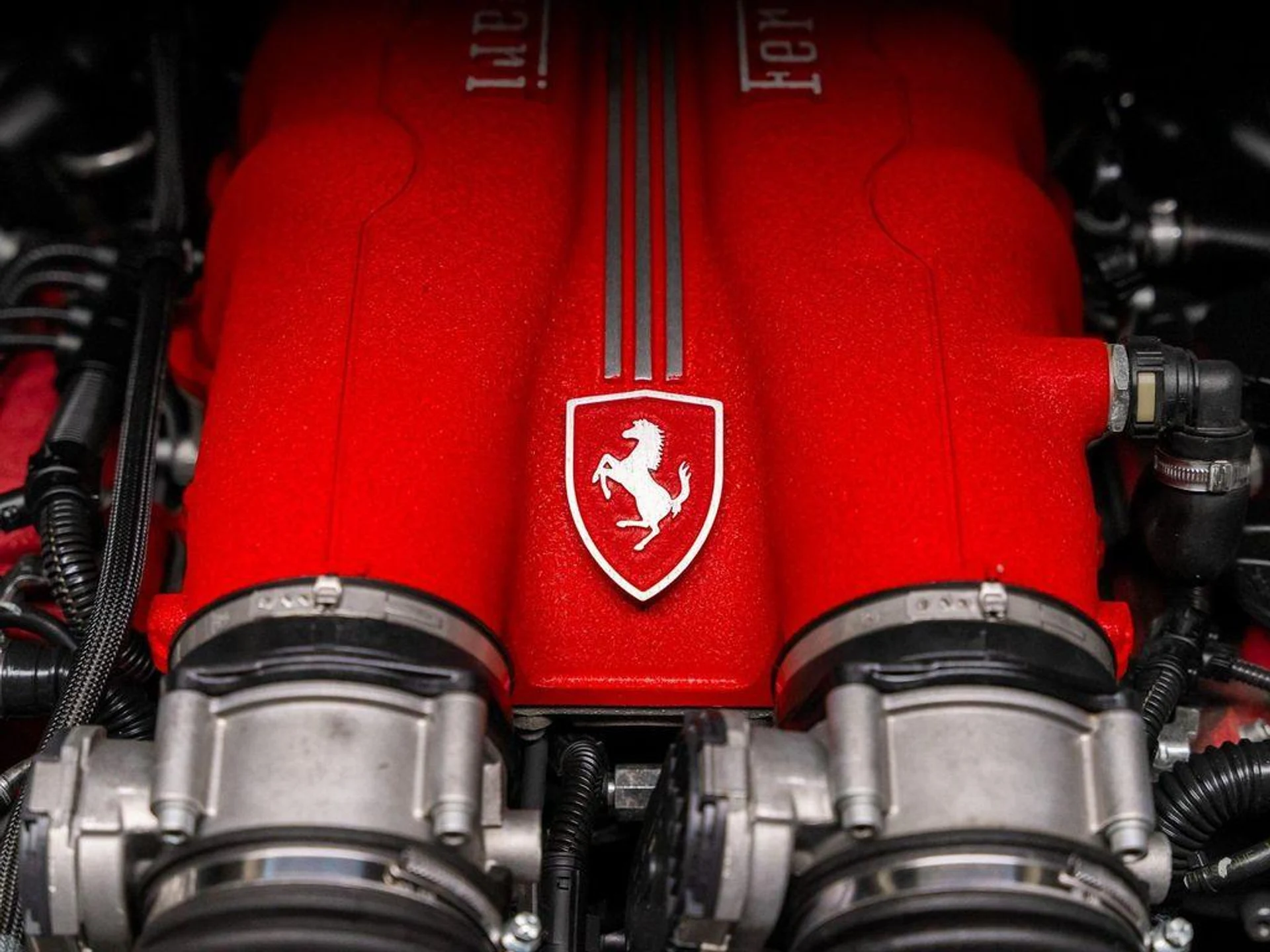 mph041_2400258546_n_Ks_G_Ccrs_MX_Ic7_r_FLM_50_YWVFE_9d257bc215