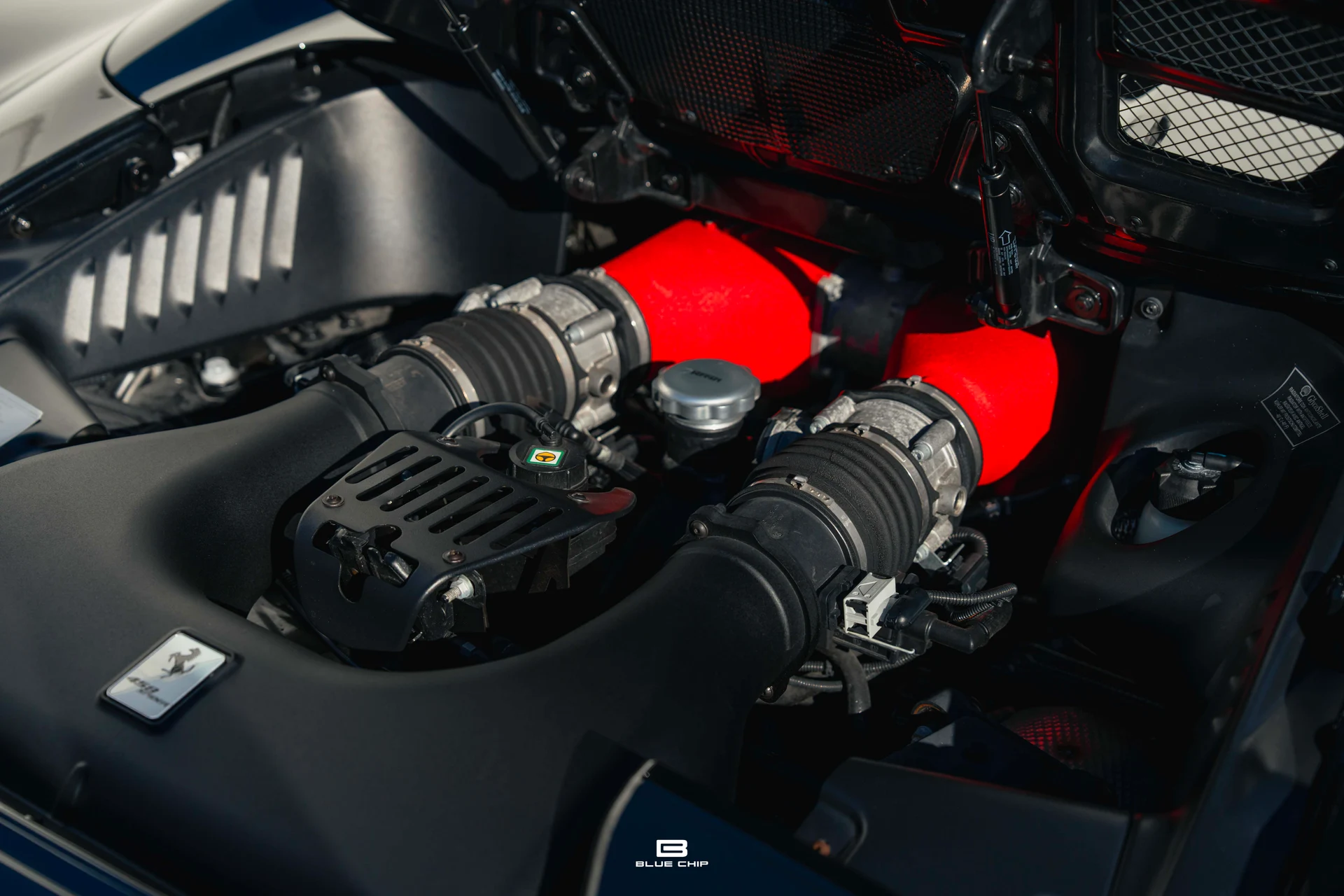 mph041_252206647_69543671610ffff102413727_A7409342_fa76104159