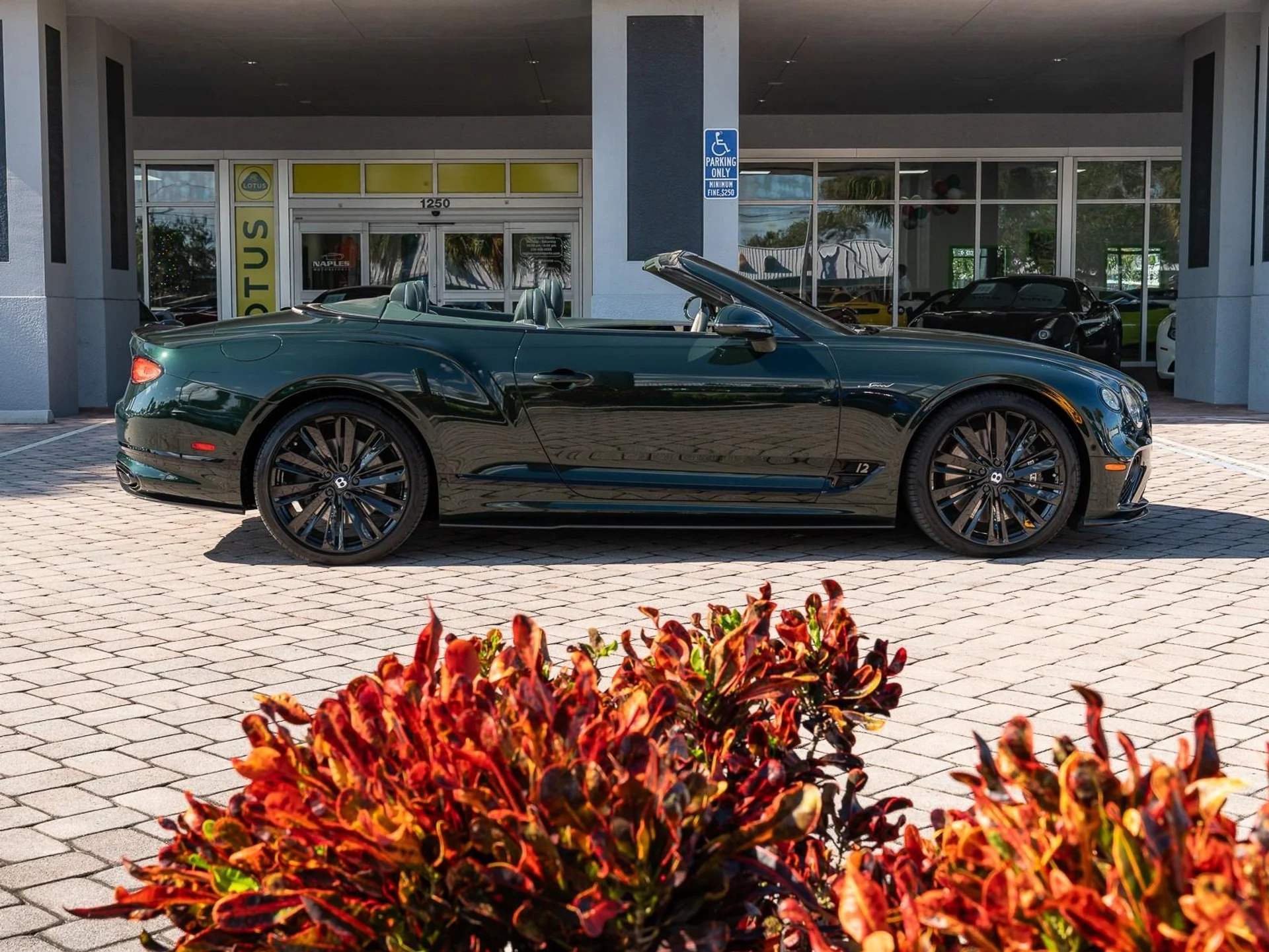 mph041_2741557469_Used_2022_Bentley_Continental_GT_Speed_1766182003_636404ad89